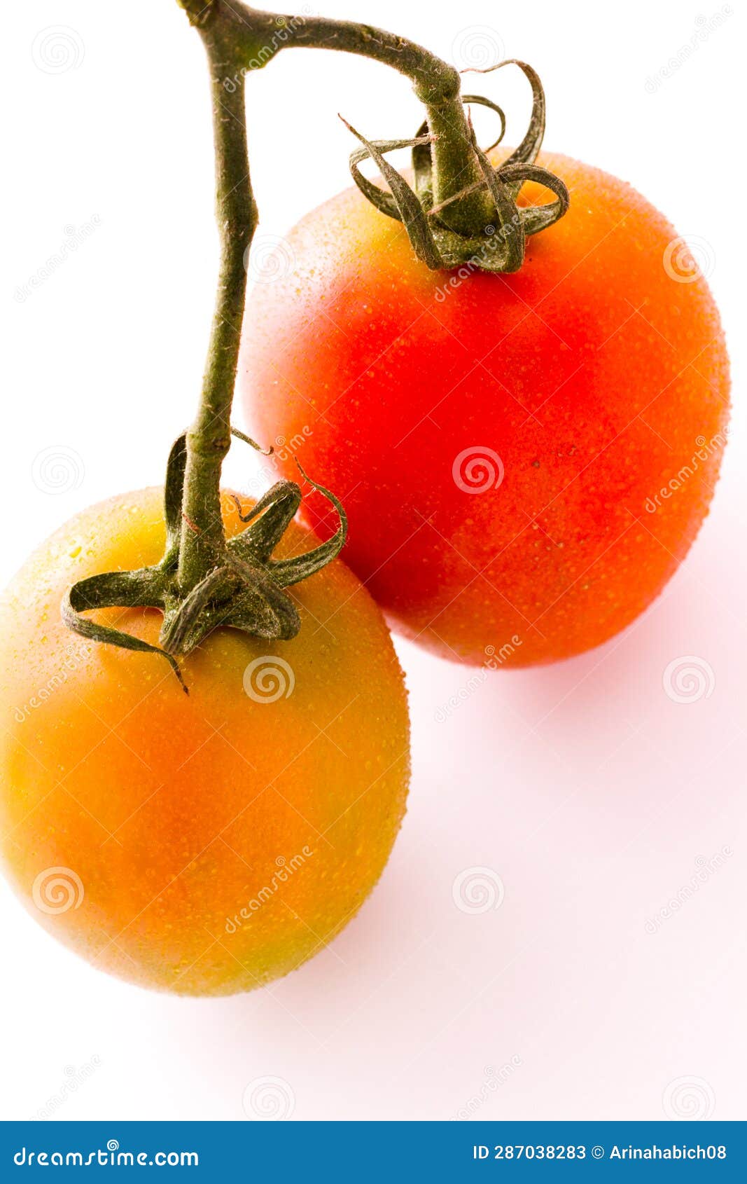 Roma tomatoes stock image. Image of food, closeup, organic 287038283