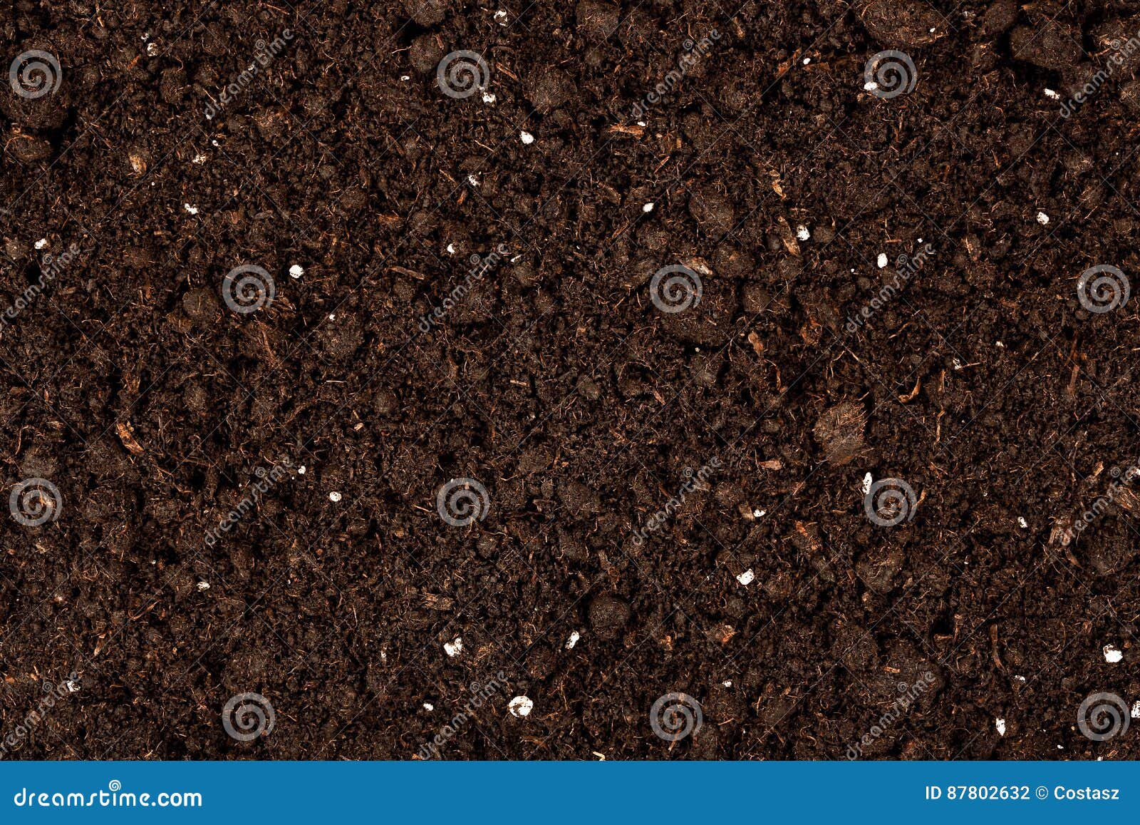 Organic Soil, Humus, Compost And Earthworms On Shovel Over Compost Heap