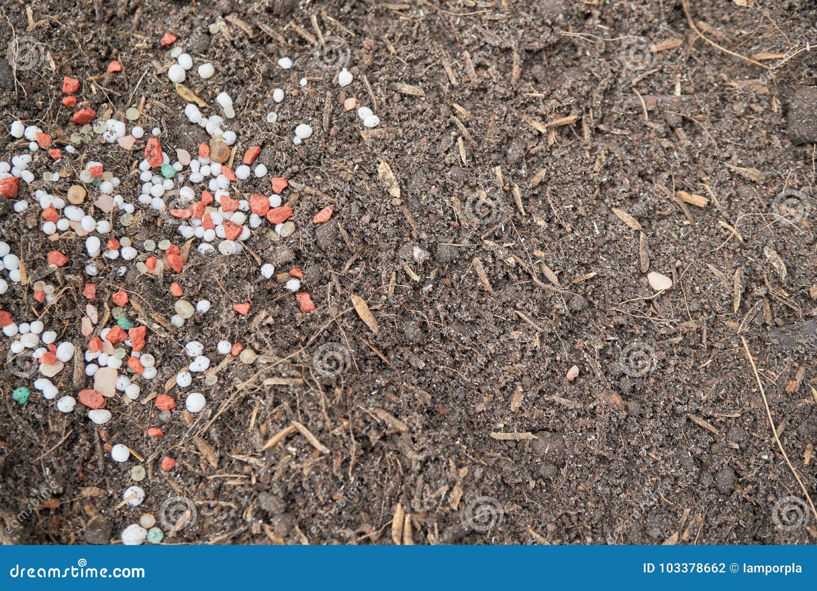 Organic Soil, Humus, Compost And Earthworms On Shovel Over Compost Heap