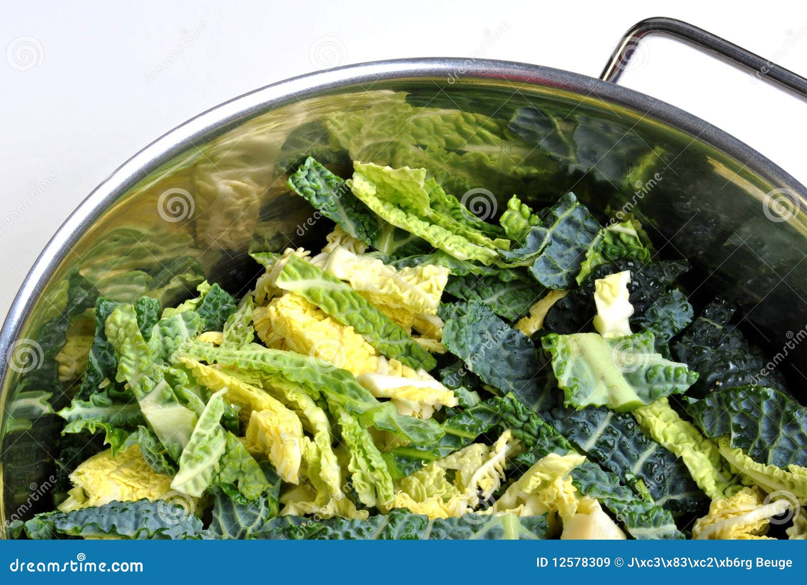 Organic Tender Leaf Curly Kale Stock Image Image of vegetables