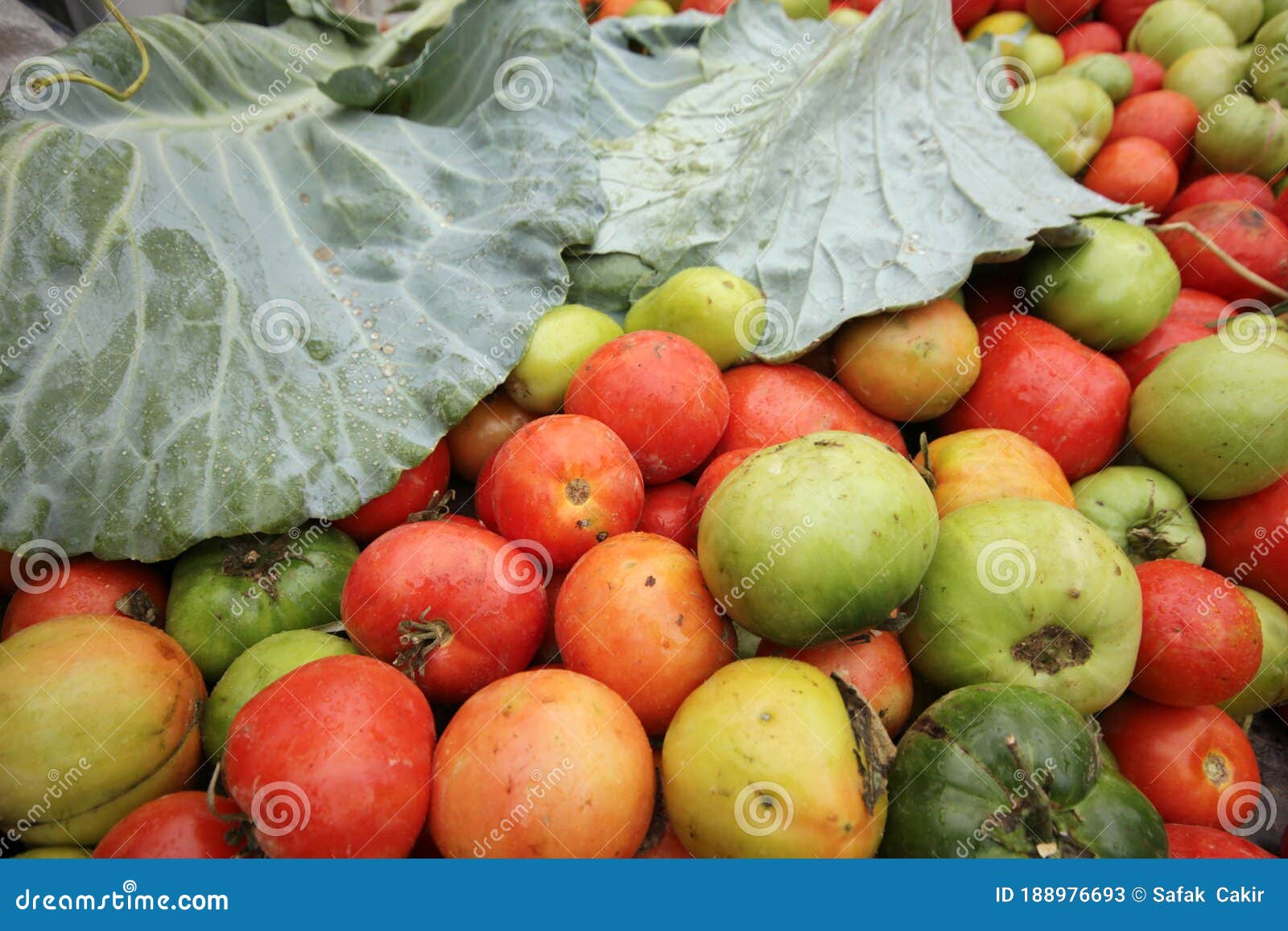 Organic tomatoes stock image. Image of heap, freshness 188976693