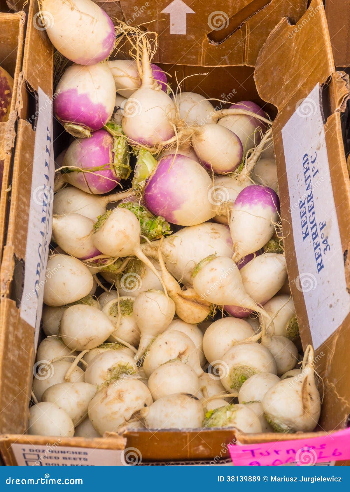 Organic turnips stock image. Image of organic, autumn 38139889