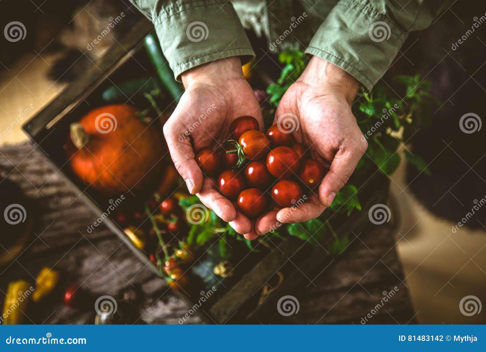 organic vegetables on wood