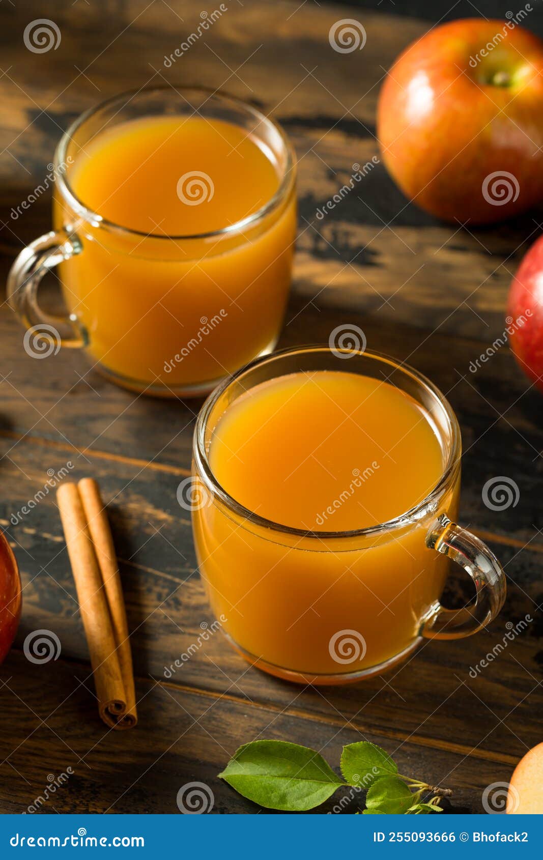 Organic Warm Apple Cider Cocktail Stock Photo Image of sweet, cider