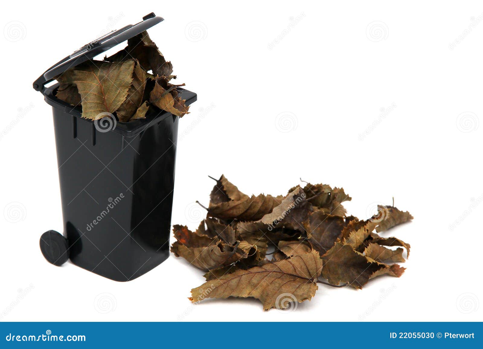 Organic Waste In Kitchen Bucket, Food Waste For Composting And