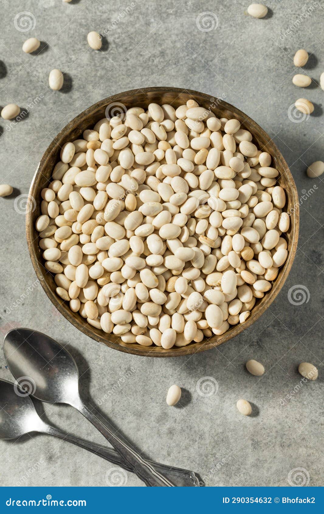 Organic White Navy Beans stock photo. Image of vegetable 290354632