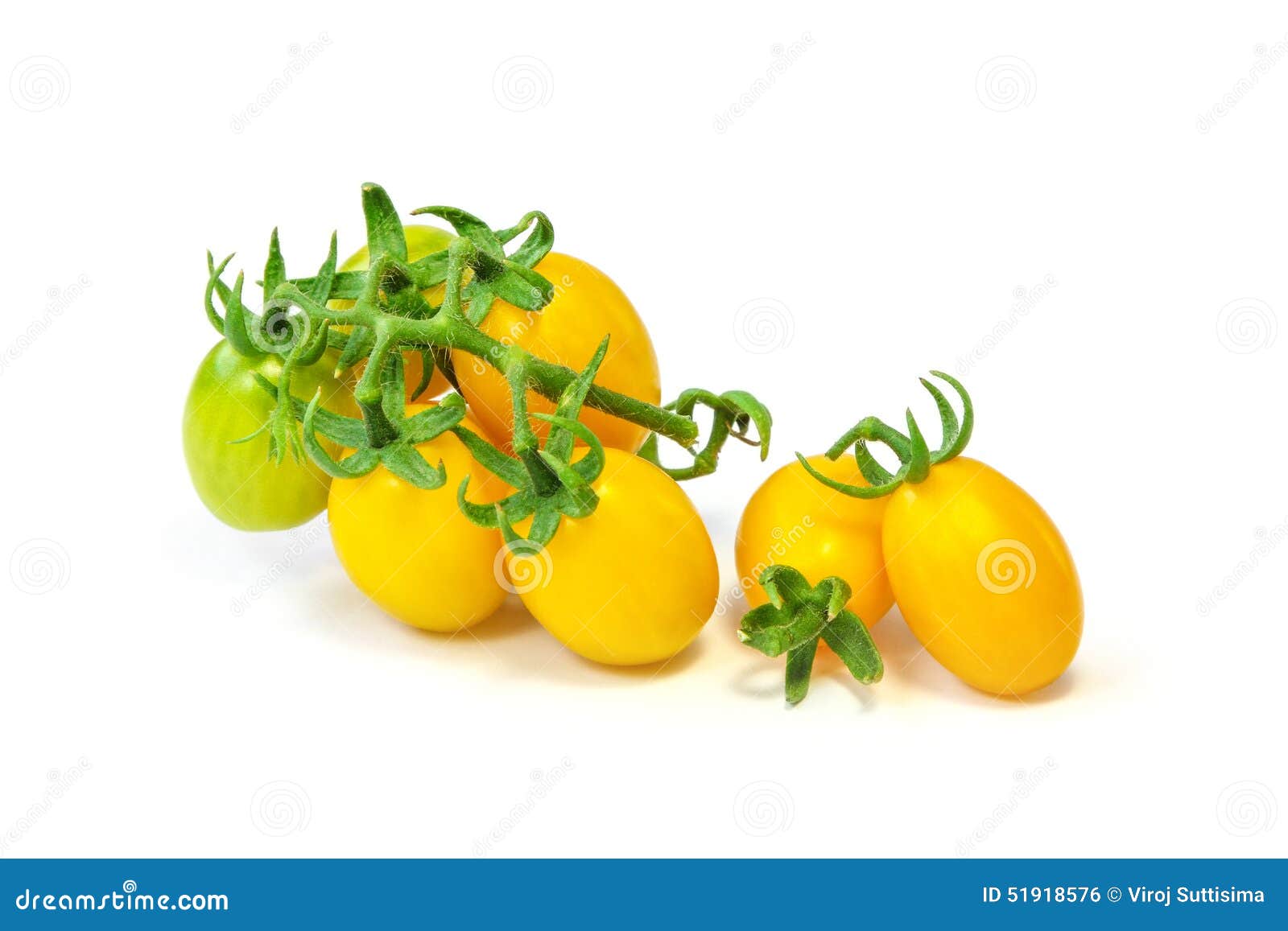 Organic Yellow Grape Tomato Stock Photo Image of plant, cherry 51918576