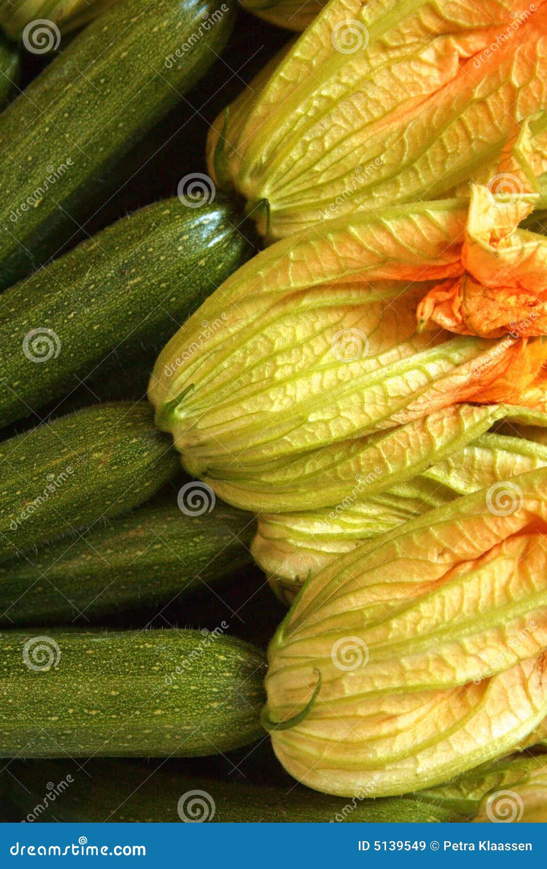 organic zuccini zucchini