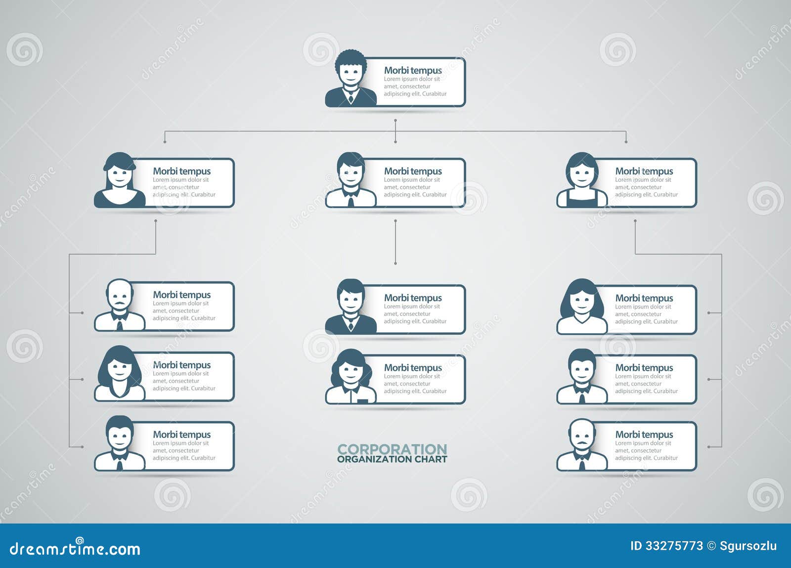 Organization Chart Template Vector