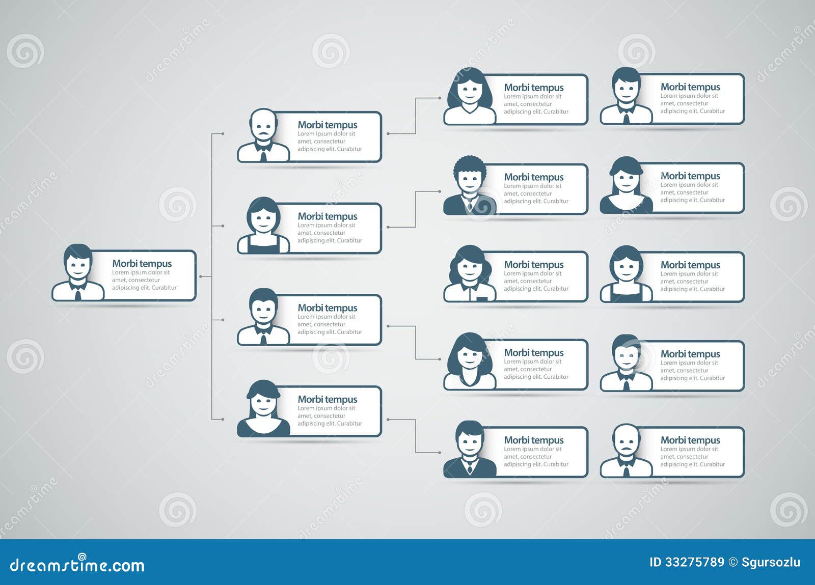 Organization Chart Vector