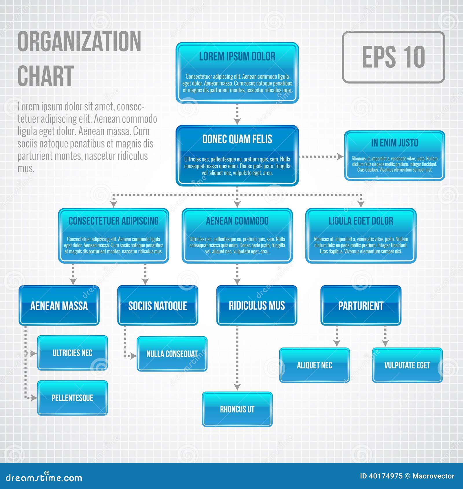 organizational chart infographic