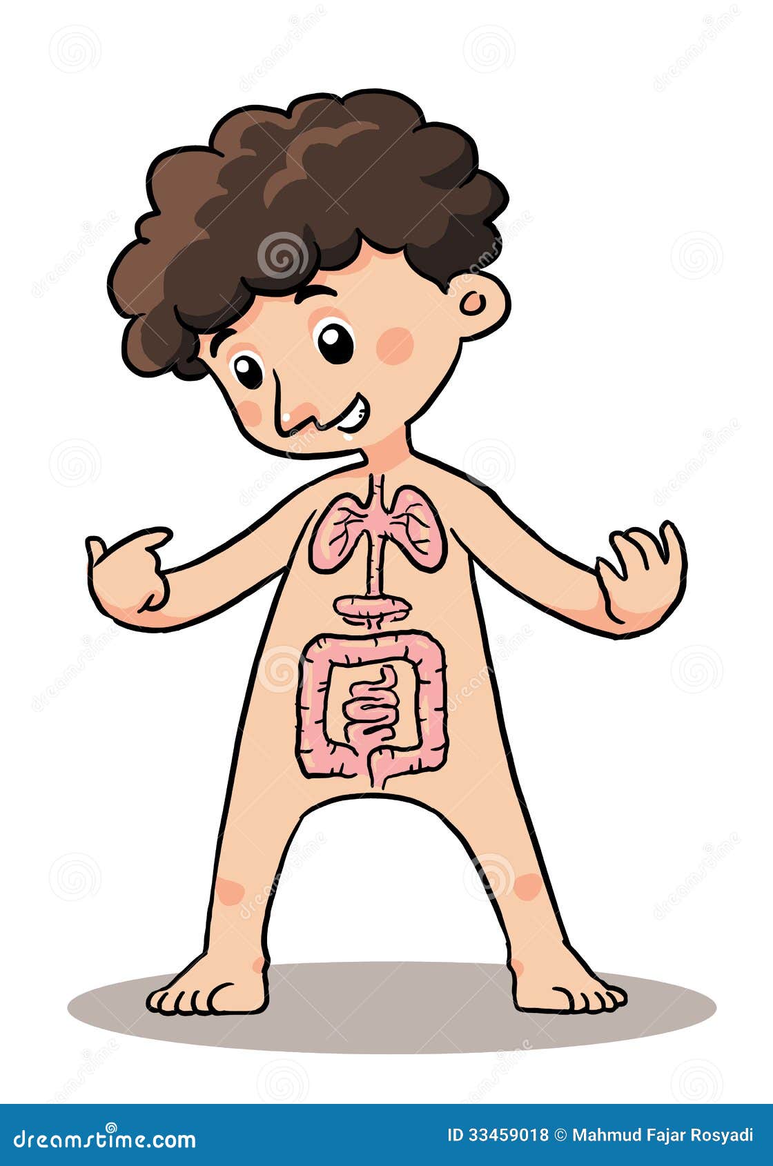 Organo del corpo del bambino. Spiegazione dell'organo del corpo di un bambino.