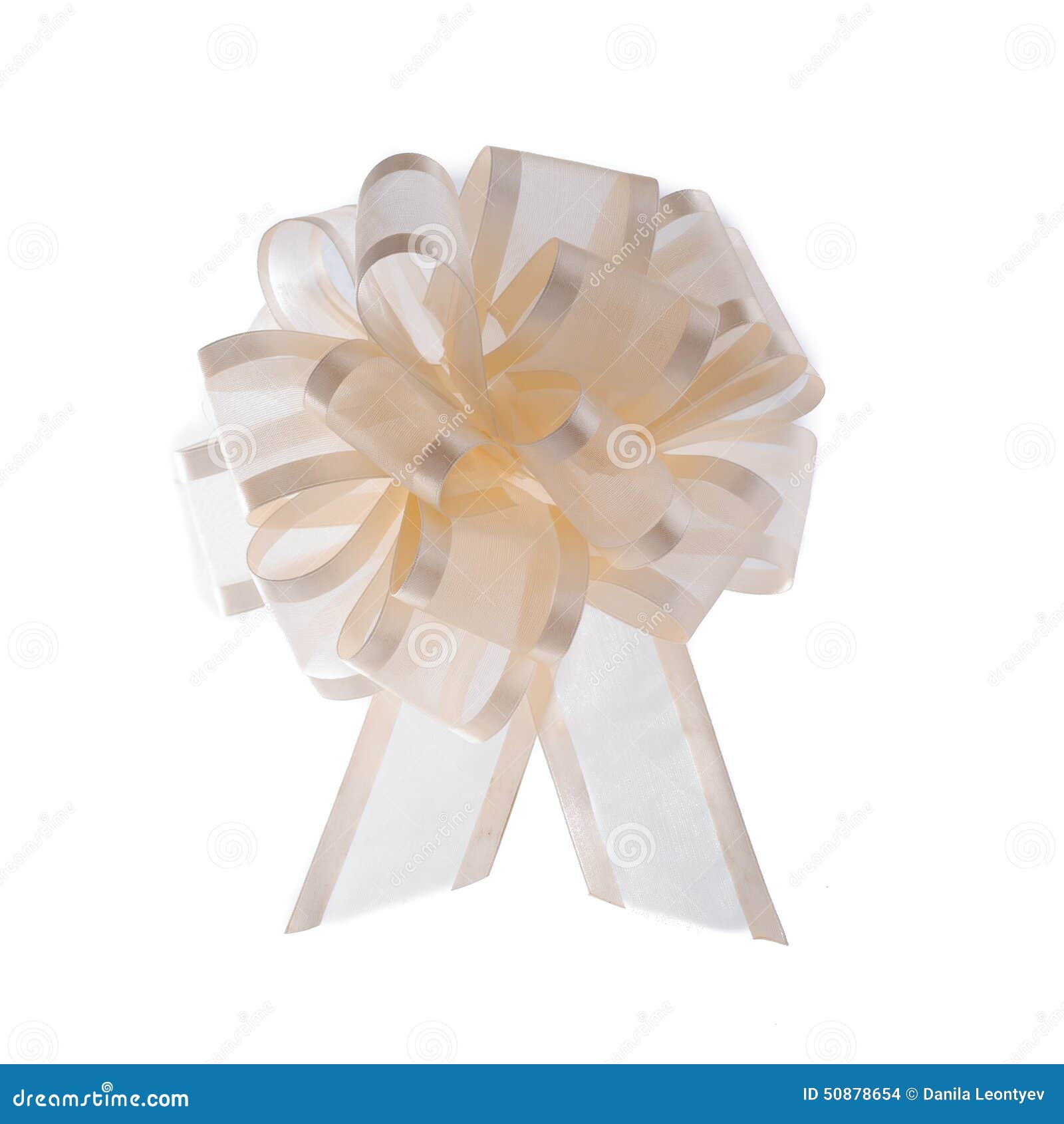 Organza ribbon bow stock photo. Image of embroider, creative 50878654
