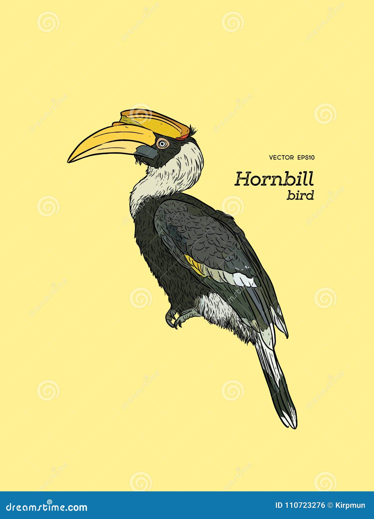 Hornbill Bird with Scenery Drawing/How to Draw Simple Bird with Scenery and  Colour Easy Step by Step - YouTube