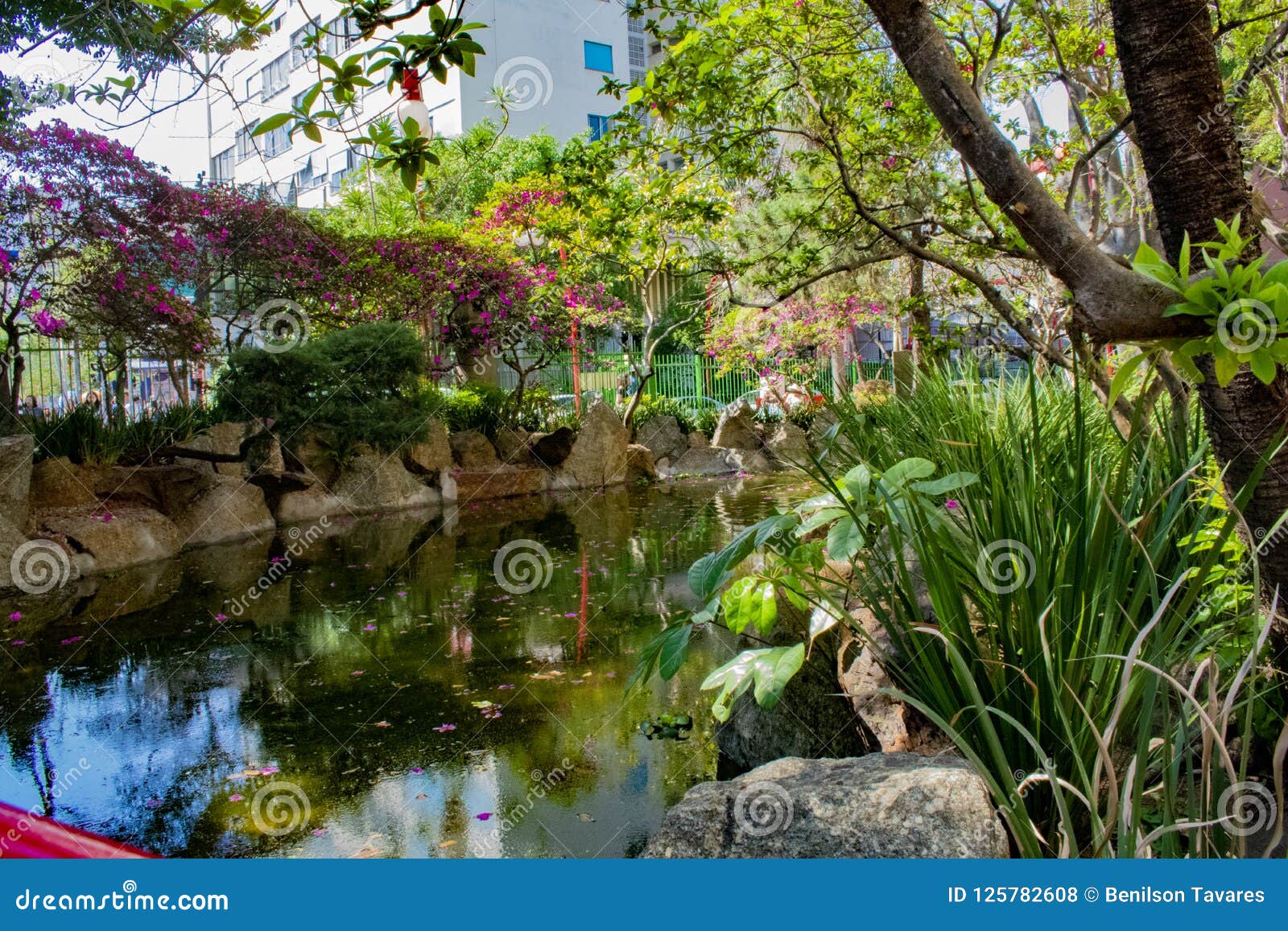 oriental pond in japanese neighborhood freedom garden