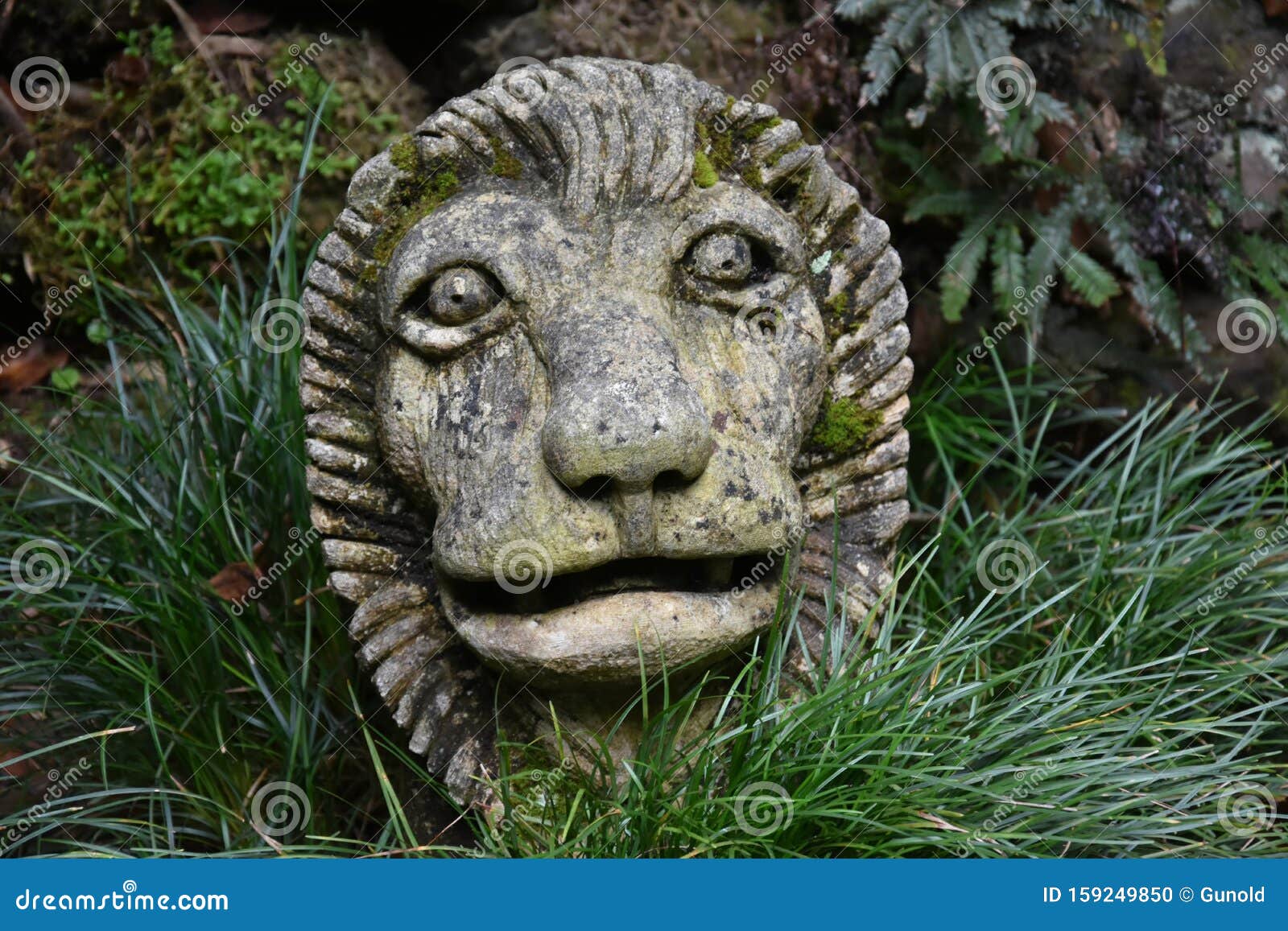 Lion sculpture in a park stock photo. Image of plant - 159249850