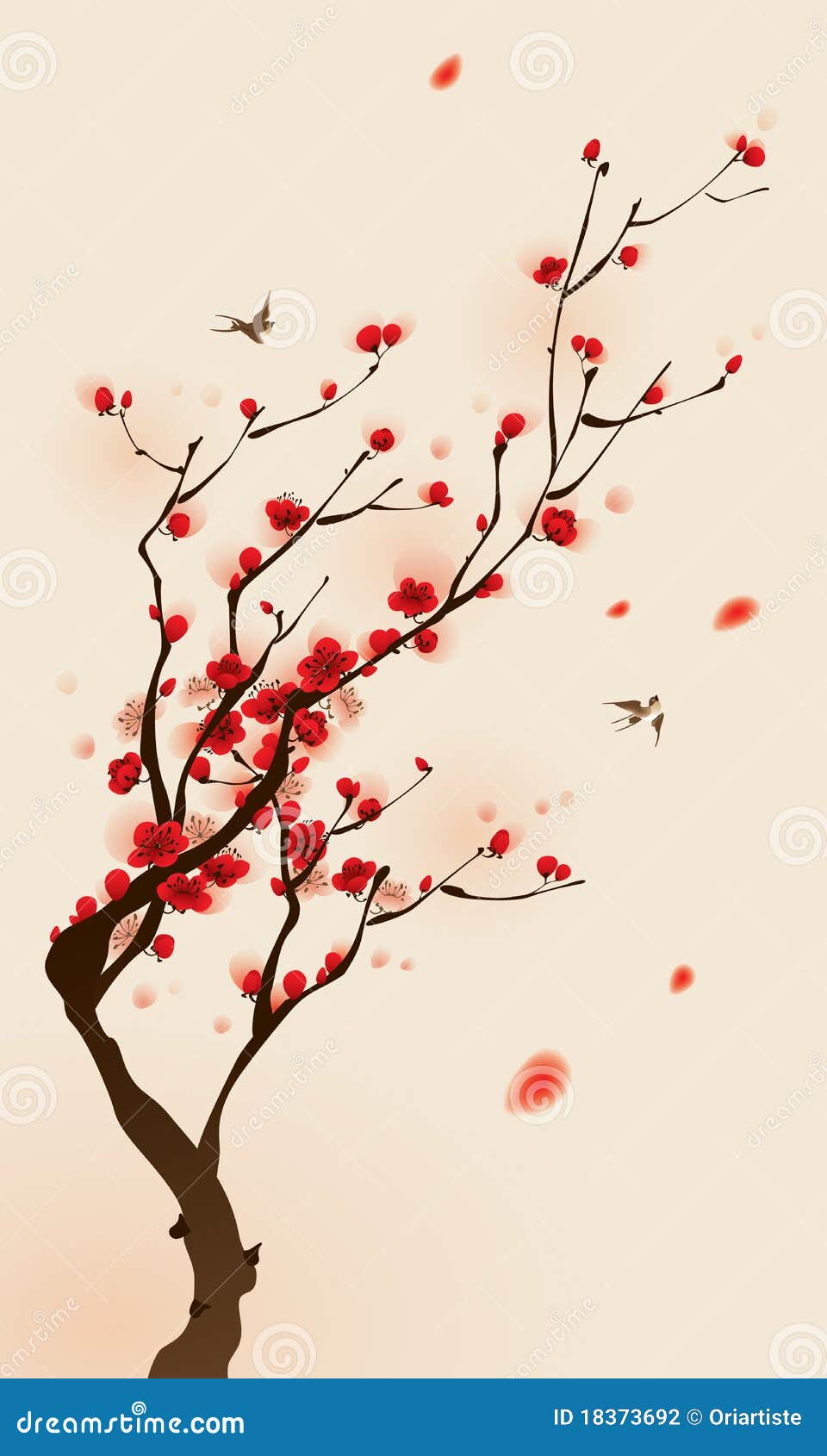 Cherry blossom Cherry blossom