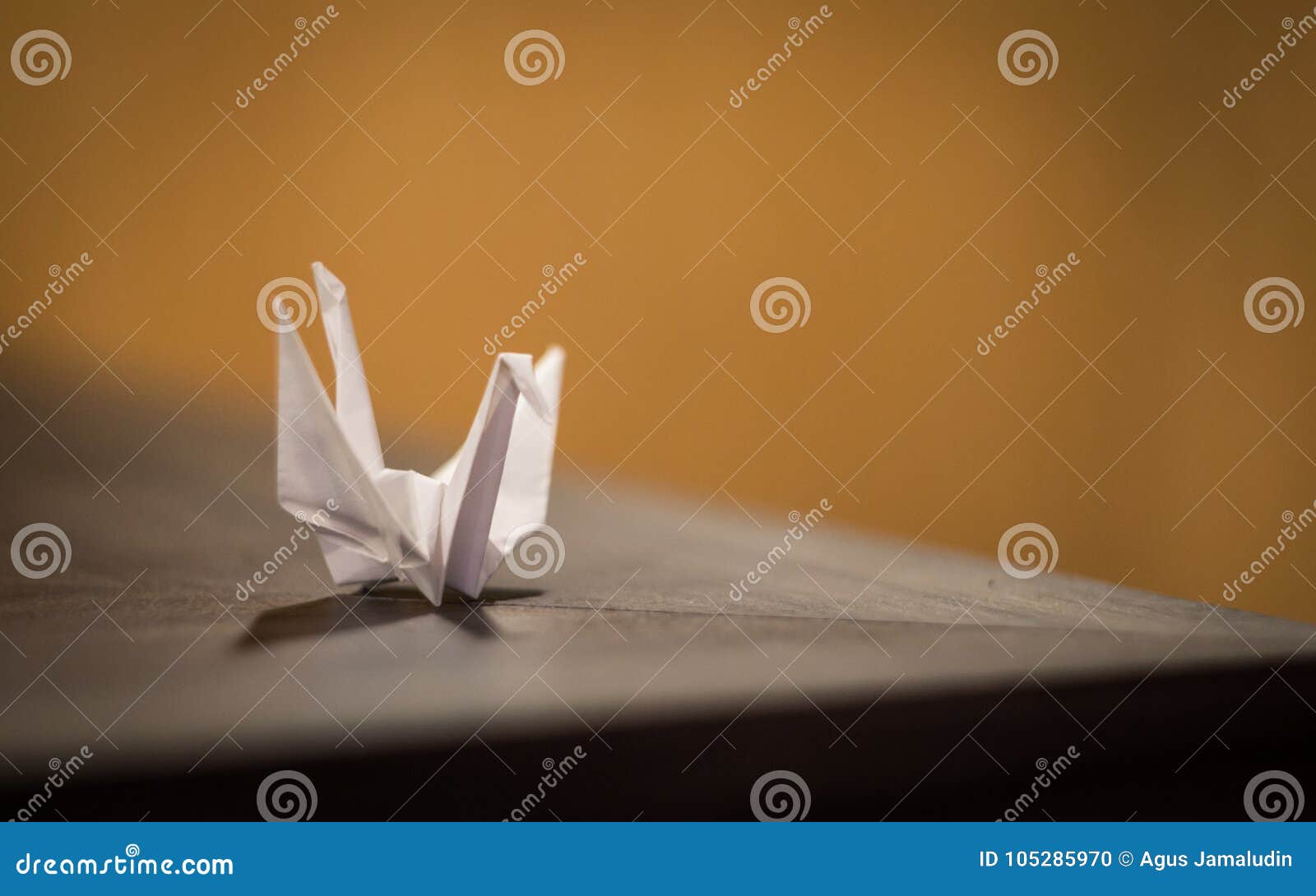 Origami of a Birds Using White Paper Stock Photo Image of life, still