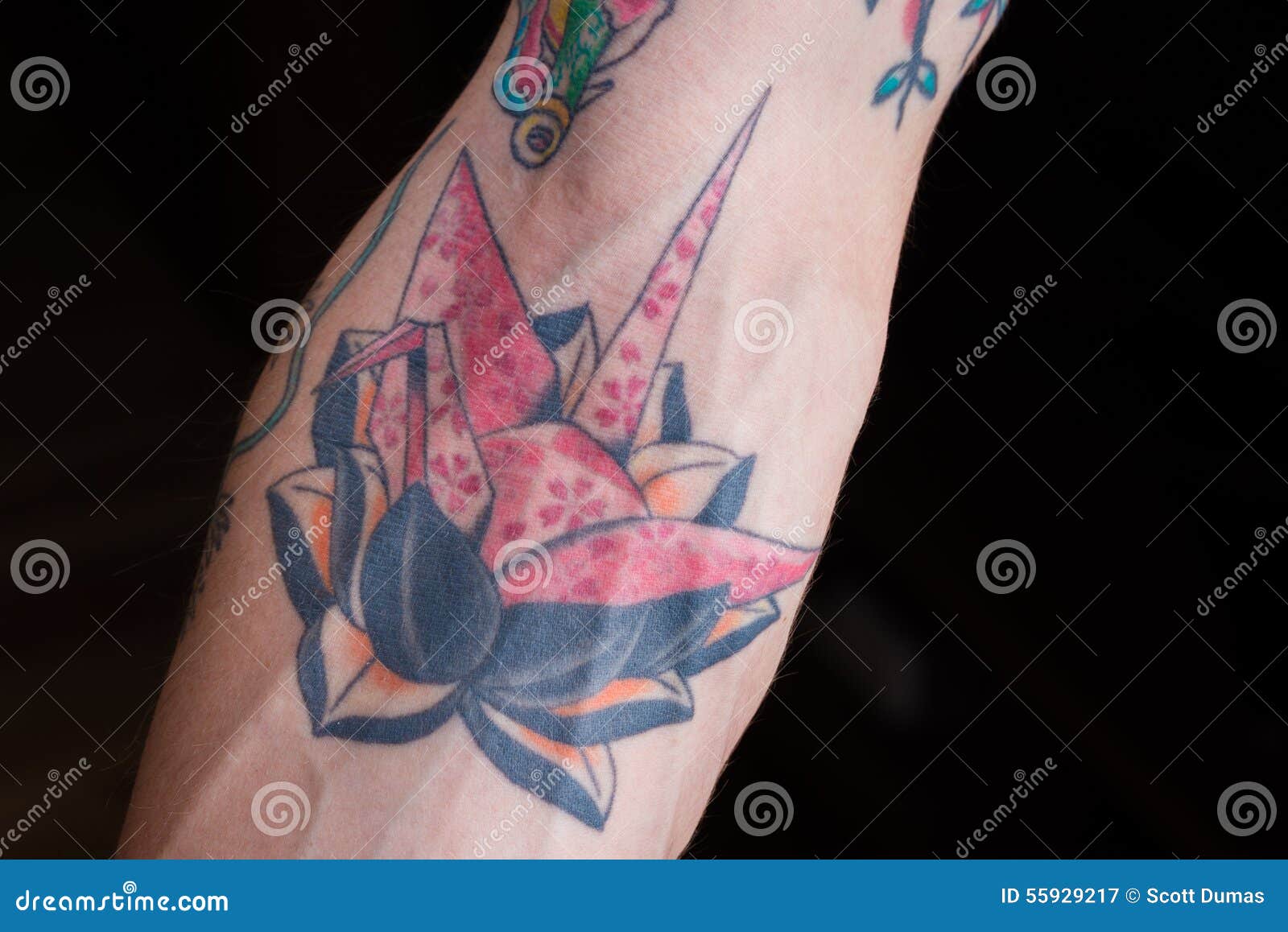 Origami Crane on Black Lotus Tattoo Editorial Photography - Image of  animals, arms: 55929217