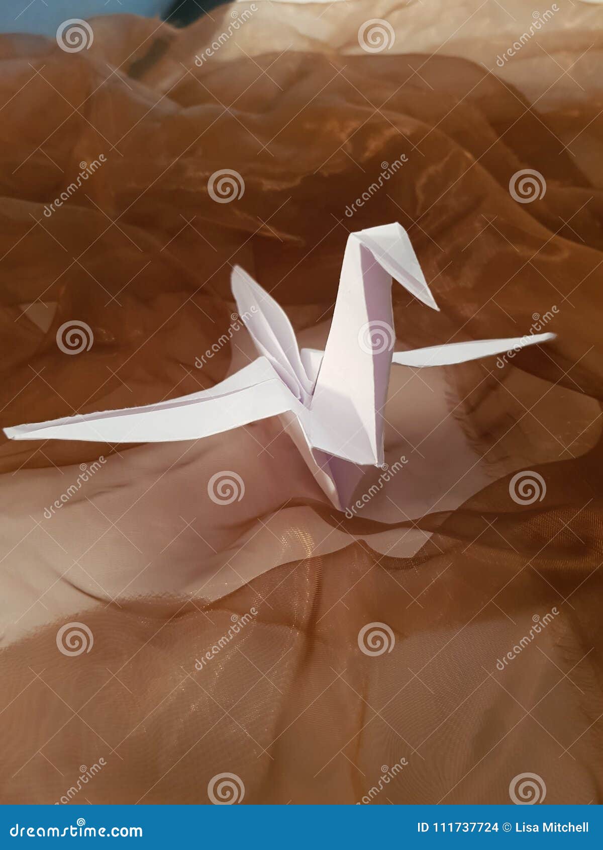 Origami Schwan Stockfoto Bild Von Wasser Flugzeug 111737724