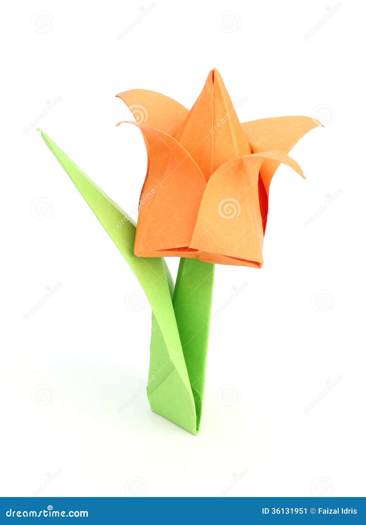 Origami Tulip Flower Image Stock Image Du Beau Dessin