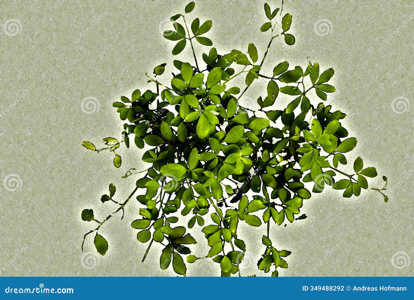 an original background for your napkin. leaves a background for your napkin .