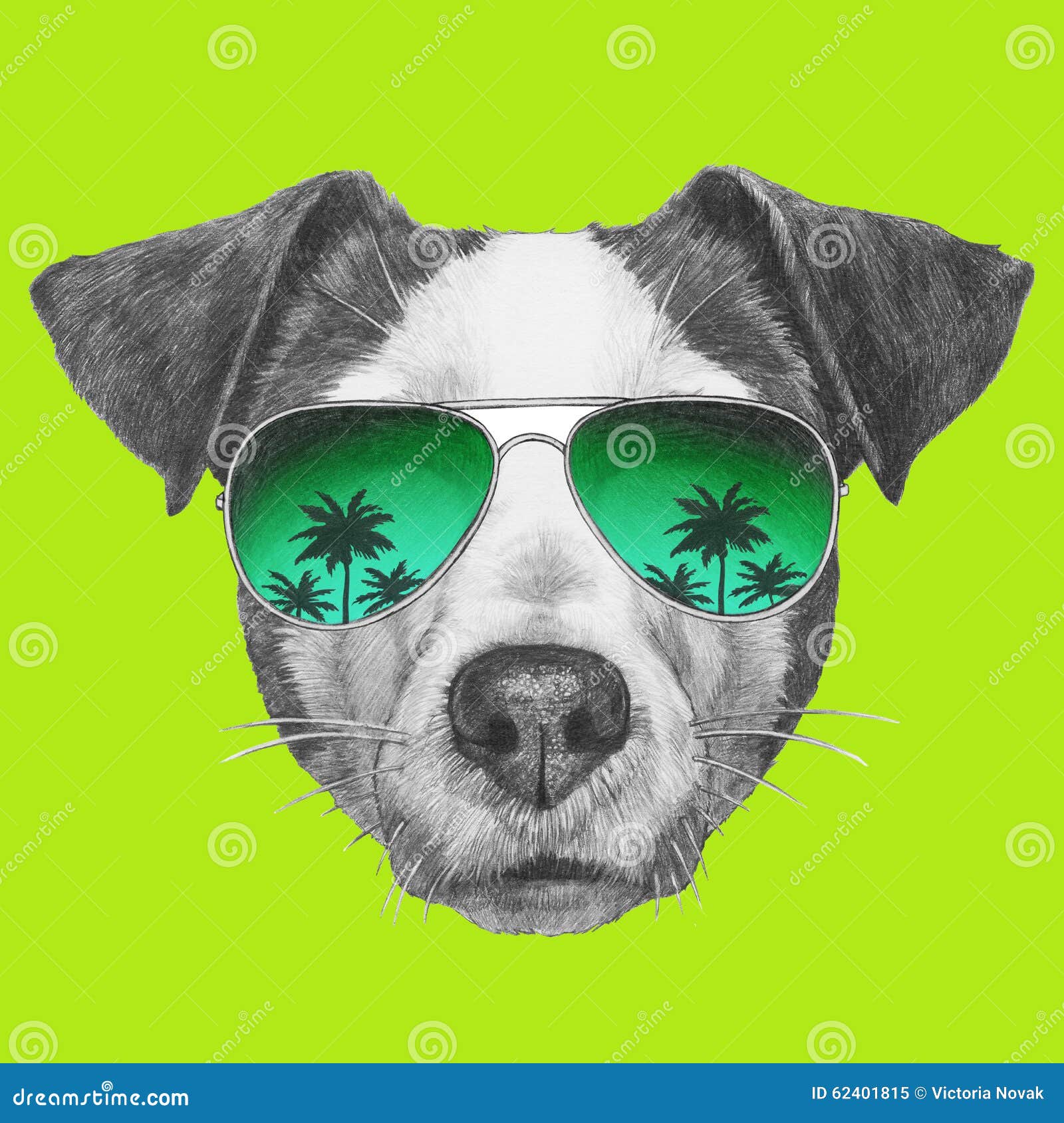 Original Drawing of Jack Russell with Mirror Sunglasses. Stock