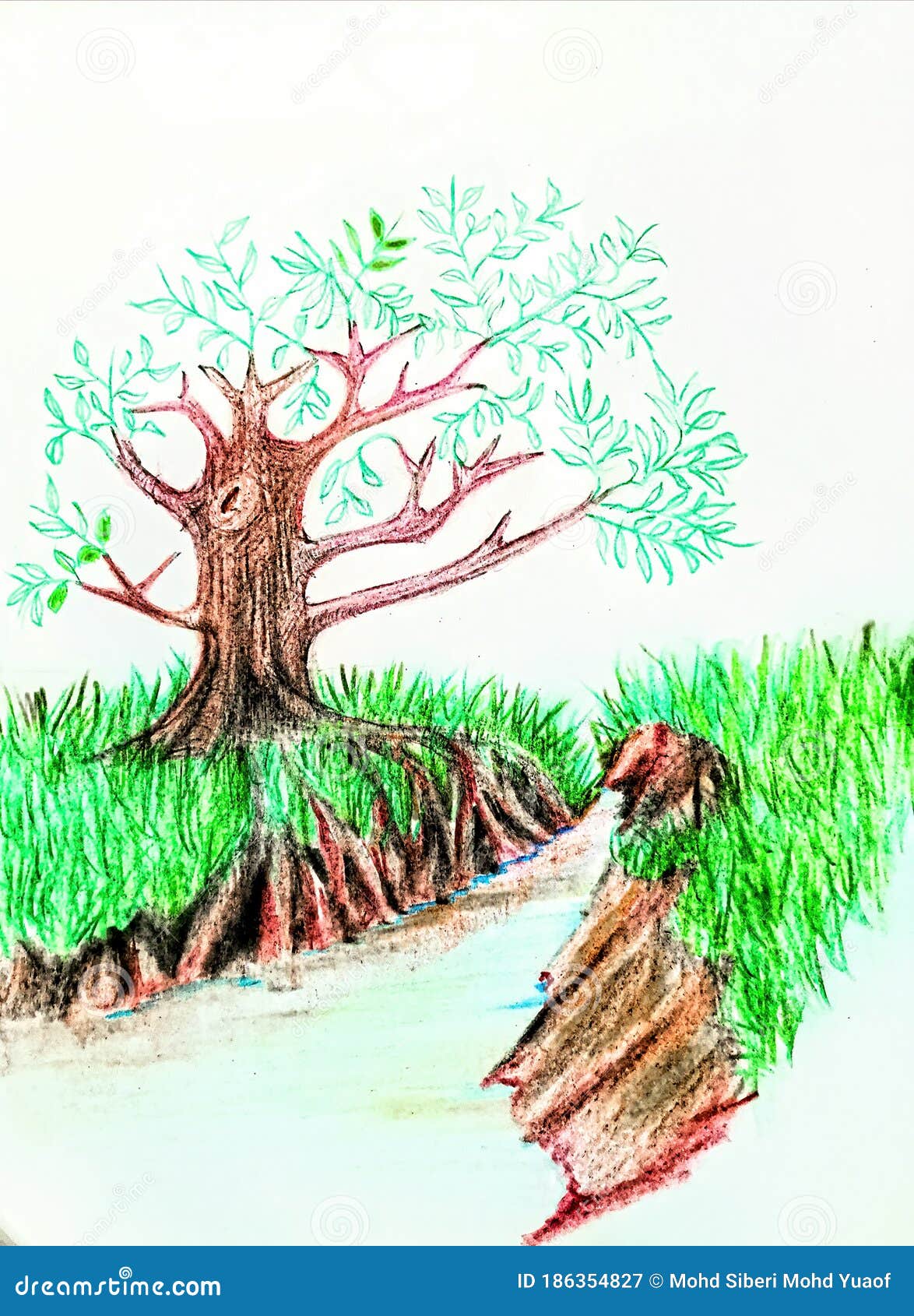 Nature Scenery Drawing With Pencil Colour