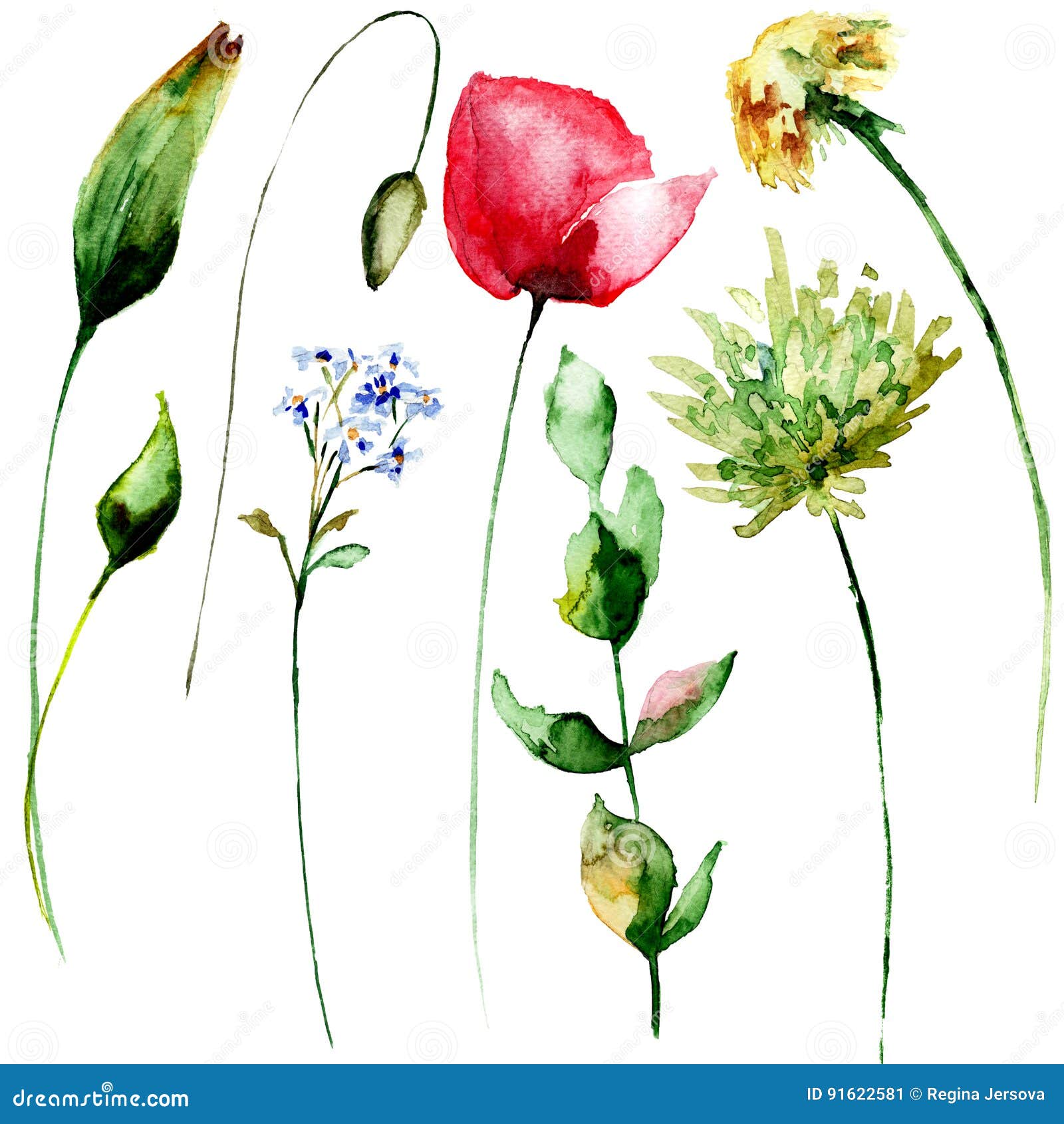Featured image of post Aquarell Spring Flowers