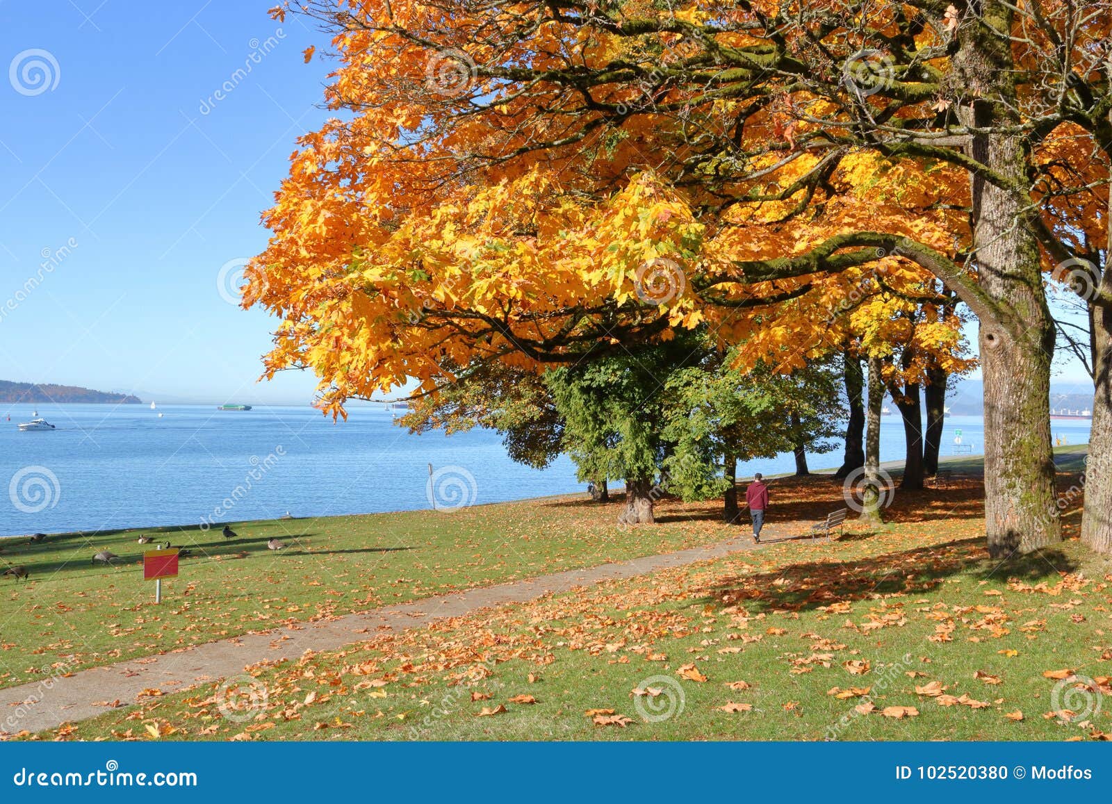 Orilla Del Mar Del West End Del ` S De Vancouver Imagen editorial