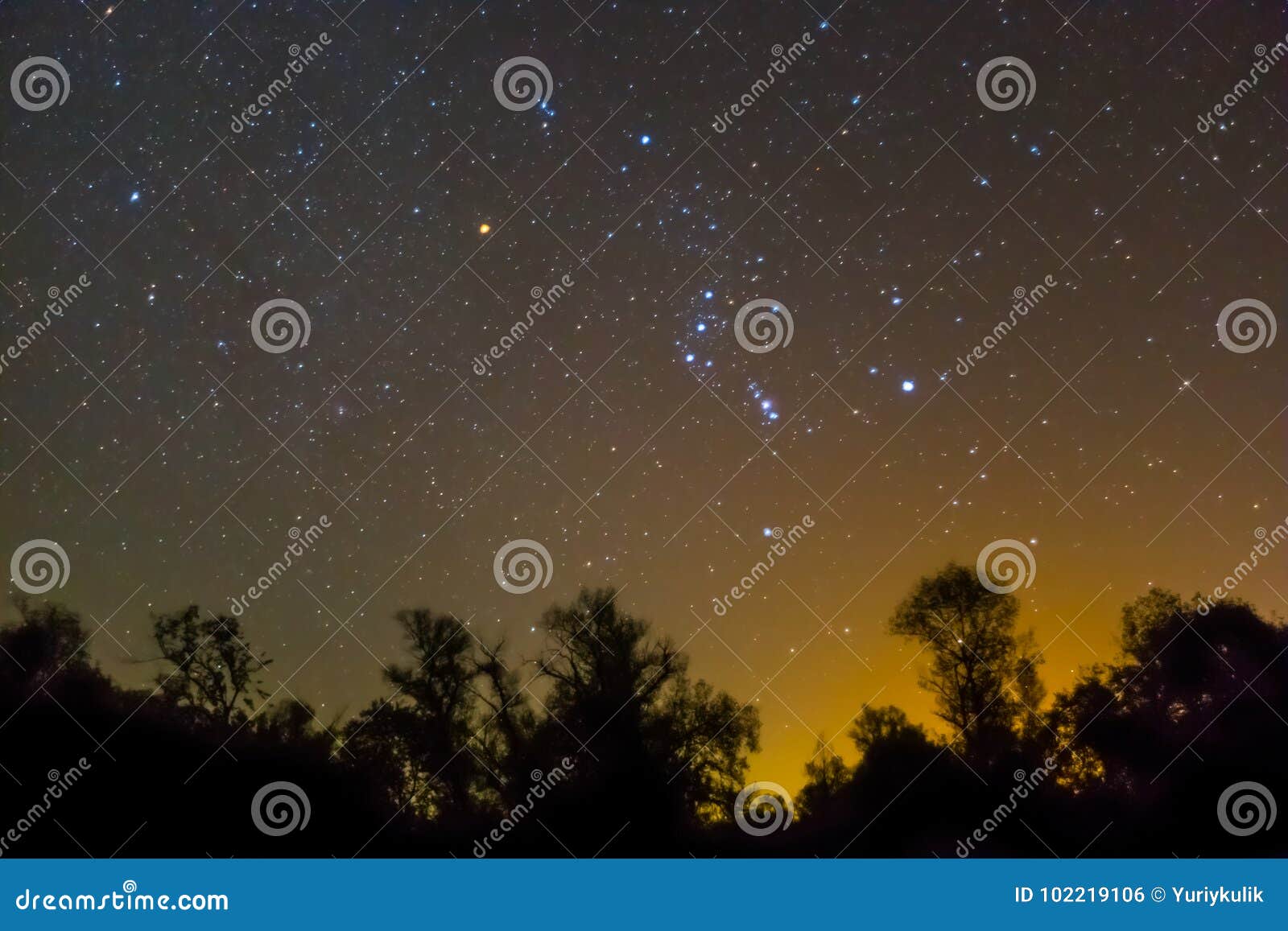 orion constellation rising over a night forest silhouette