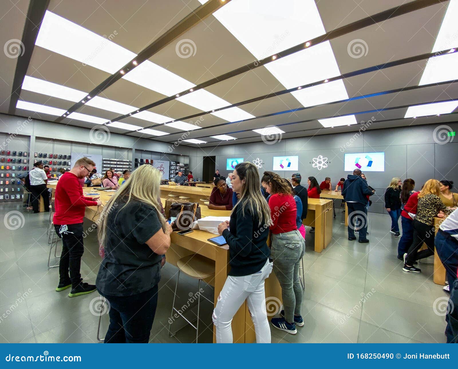 Apple Store Shopping for Macs iPhones & iPads