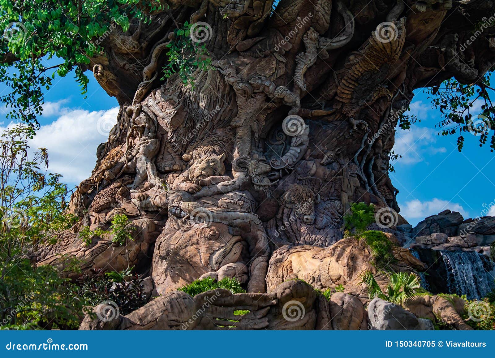 Jungle Animals Carved in Tree of Life in Animal Kingdom at Walt Disney World. Editorial Image - Image of florida, festival: 150340705 Jungle Animals Carved in Tree of Life in Animal Kingdom at Walt Disney World. Editorial Image - Image of florida, festival: 150340705