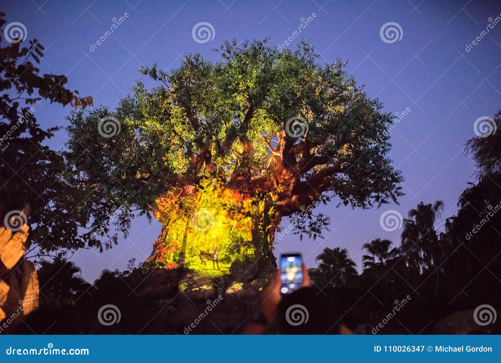 Download Tree Of Life At The Animal Kingdom At Walt Disney World ...