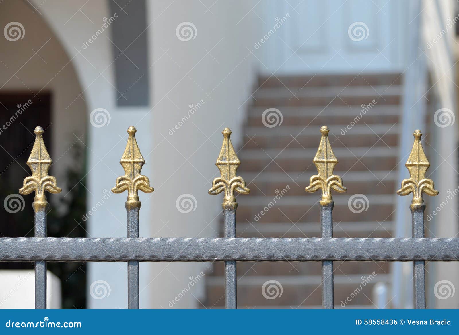 Ornament on the gate stock photo. Image of security, gold 58558436
