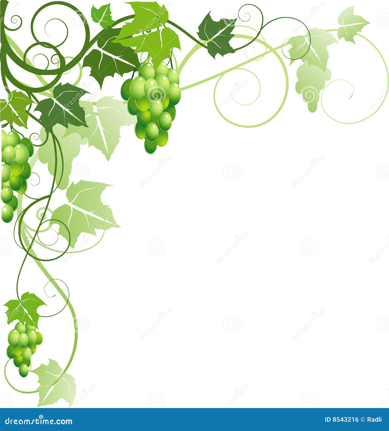 vector free download grape - photo #21