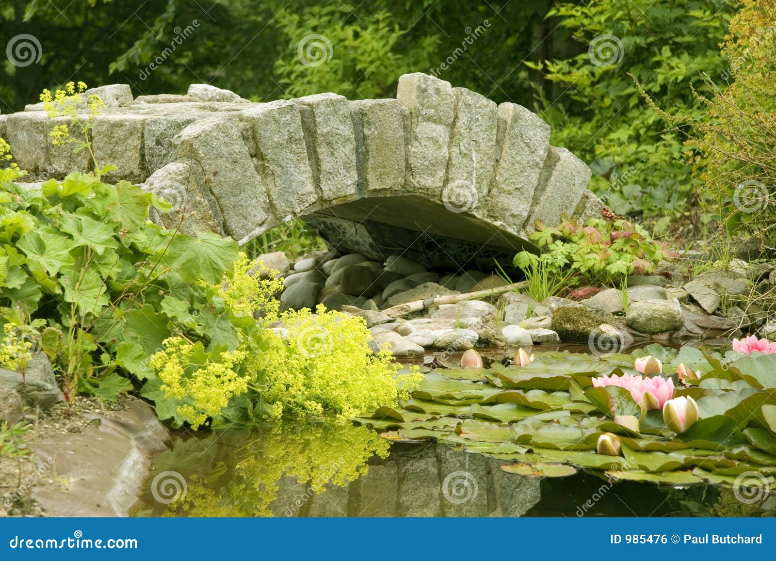 Ornamental Bridge and Pond stock photo. Image of lilies 985476