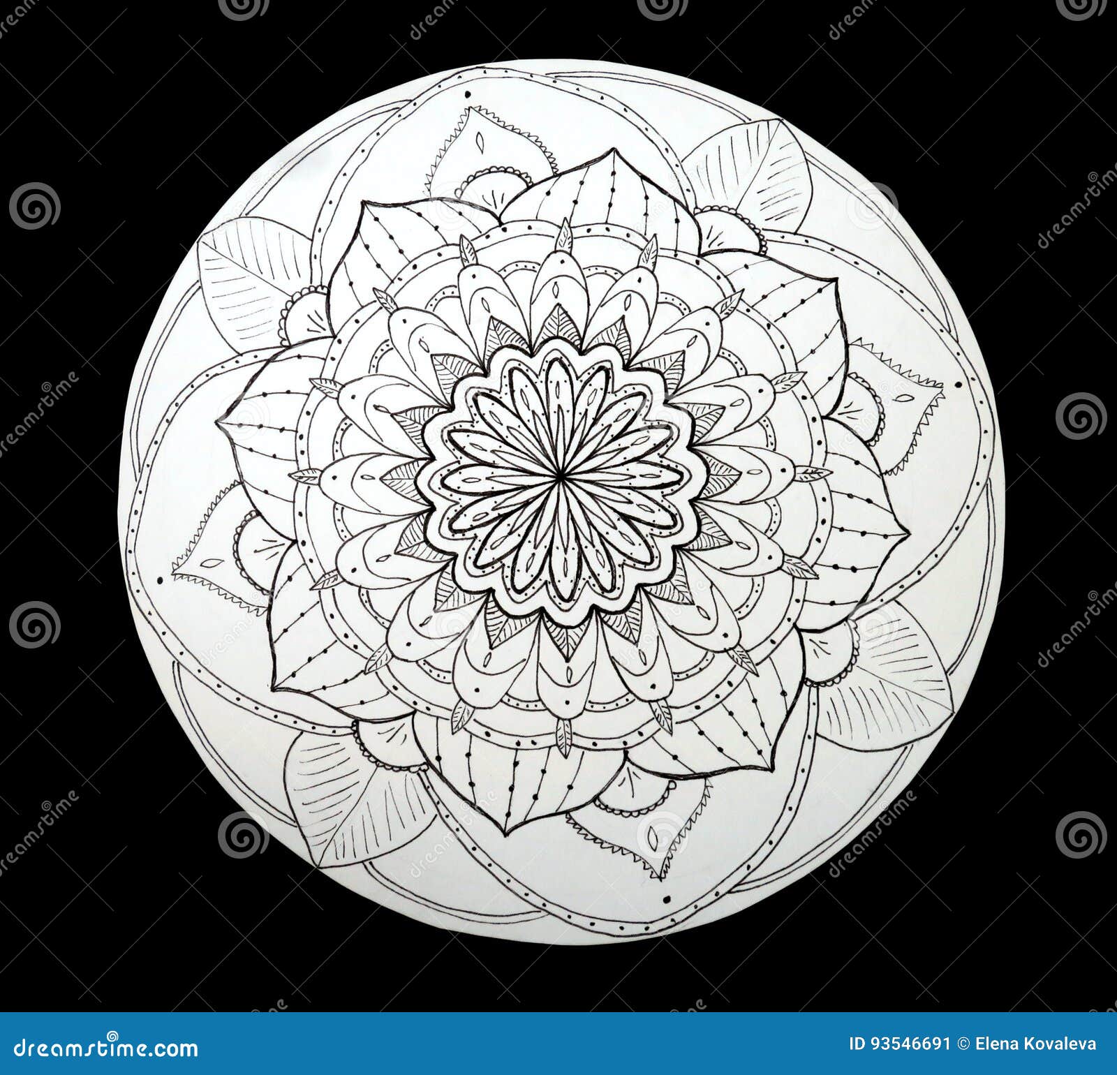 Ornamental Flower Mandala Black and White Stock Image Image of