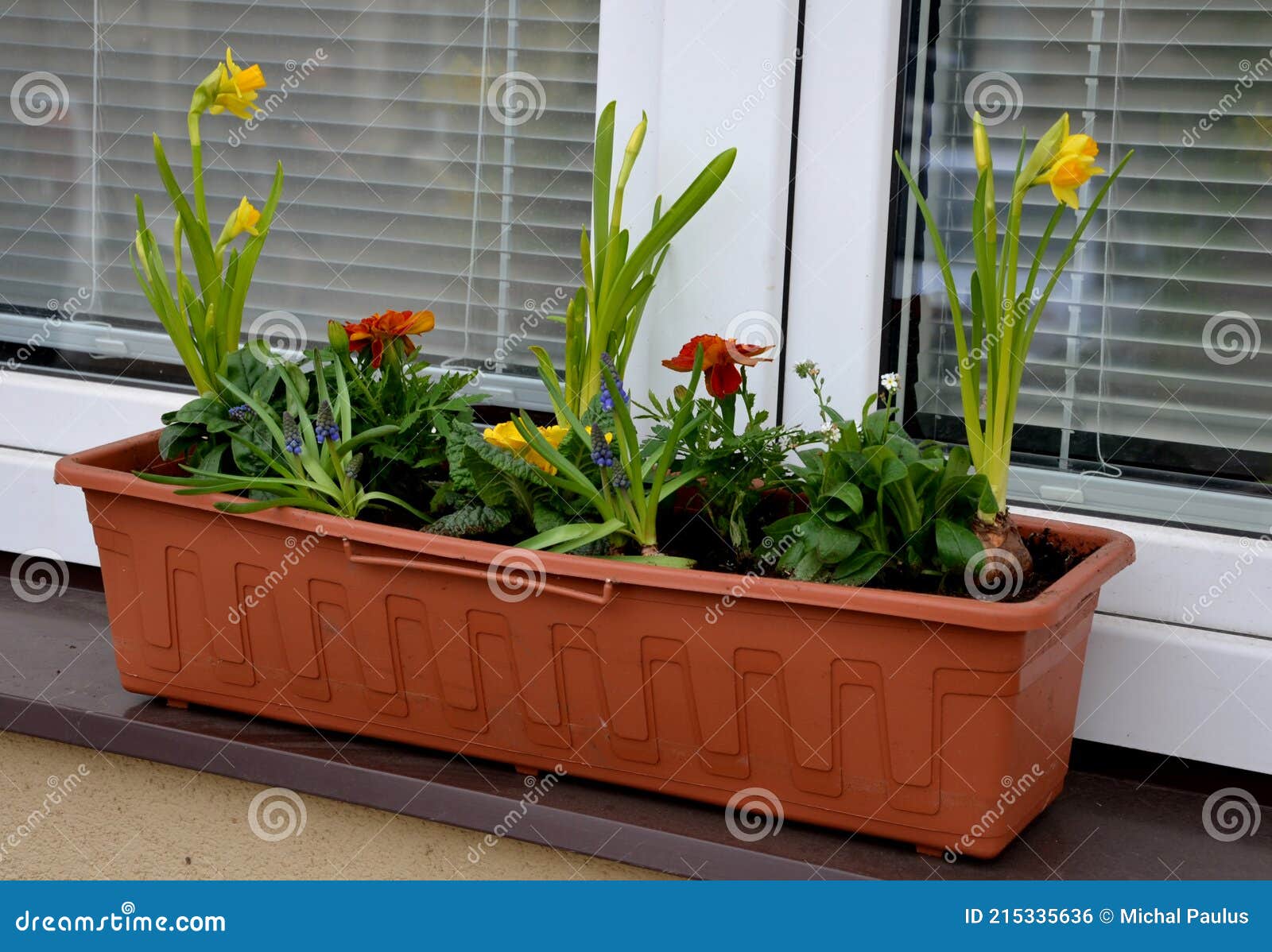 Ornamental Flower Pots on the Windows of the House. Plastic Flower Pots