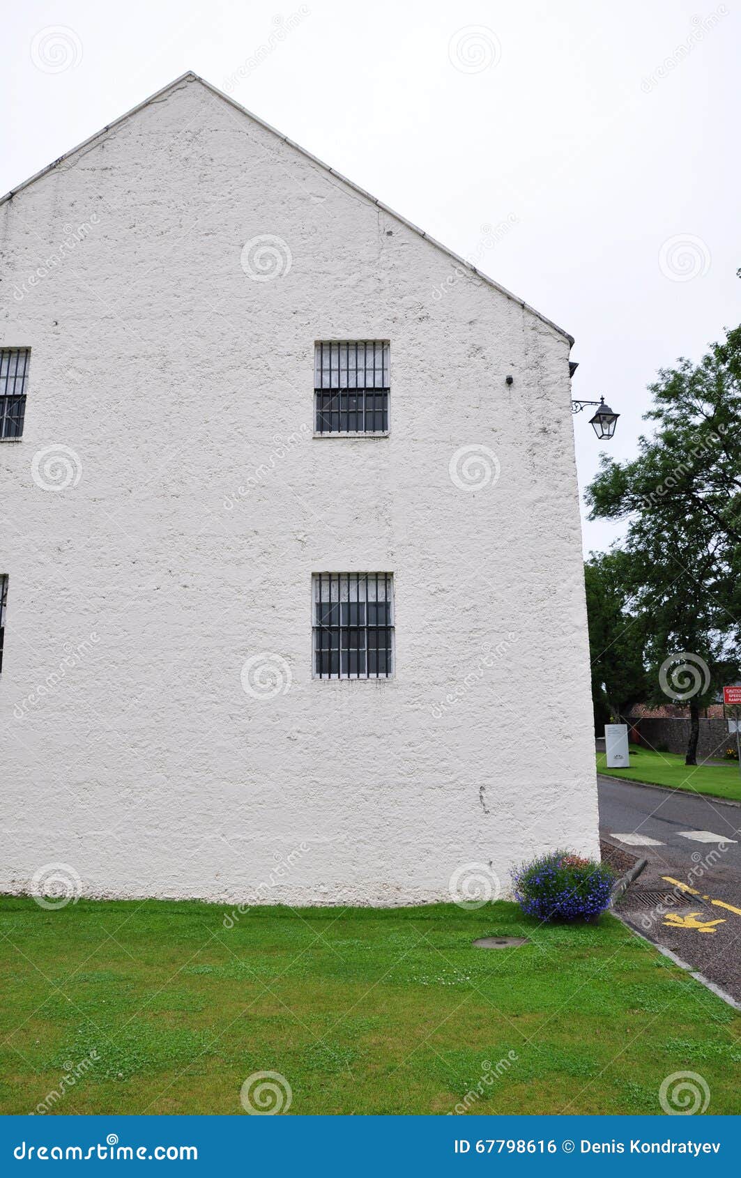 ornamental flowerpot with blue and red flowers near the white wall