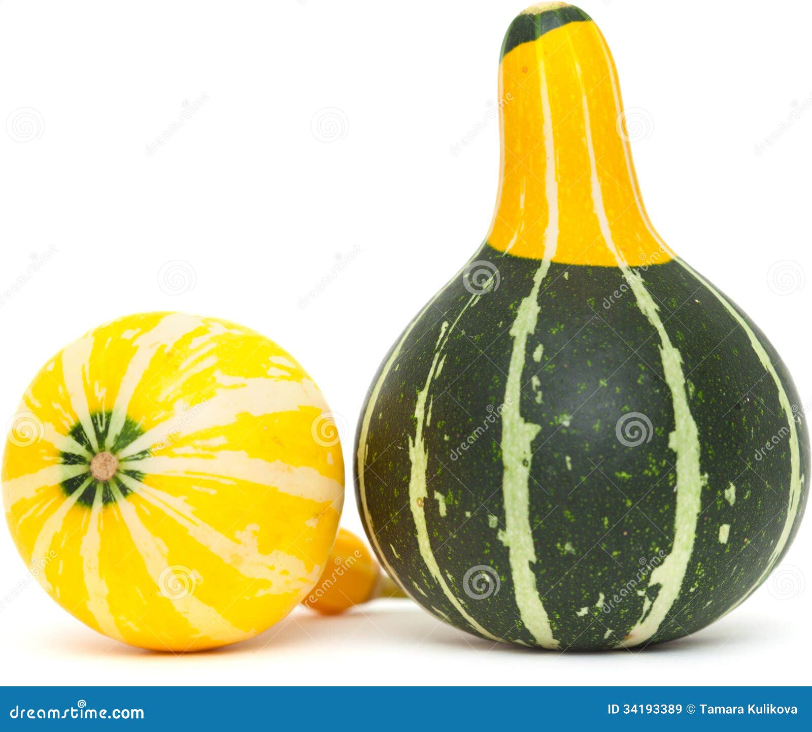 Ornamental gourd stock image. Image of crop, edible, green 34193389