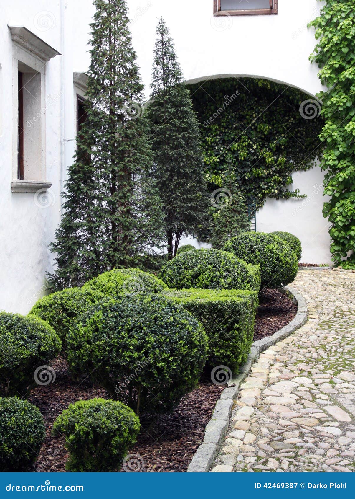 ornamental shrubs and conifers