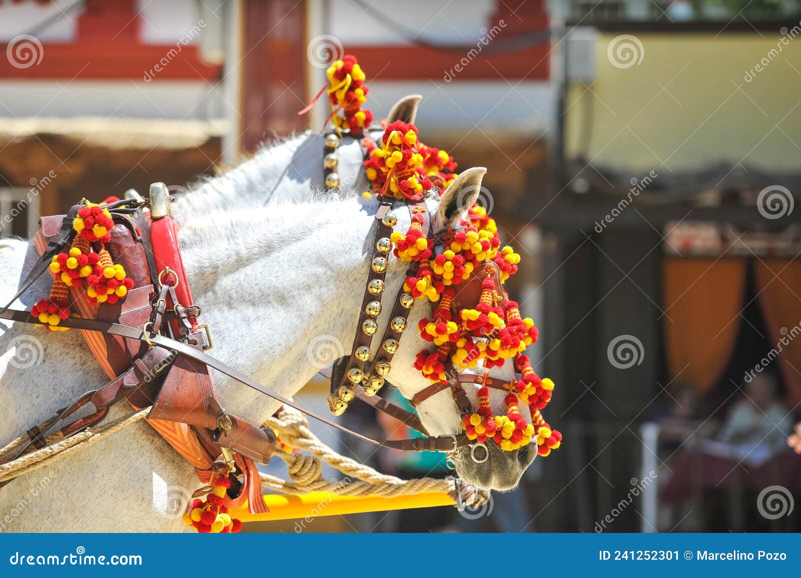 ornaments on the head of carriage horses