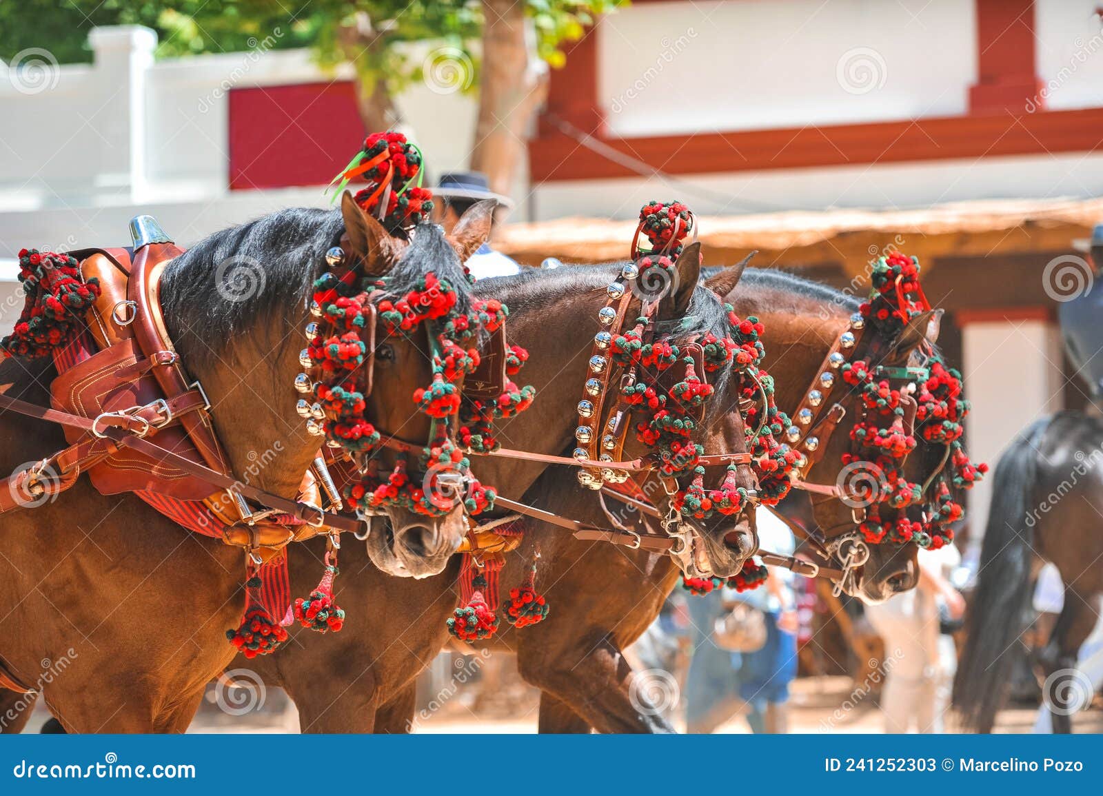 ornaments on the head of carriage horses