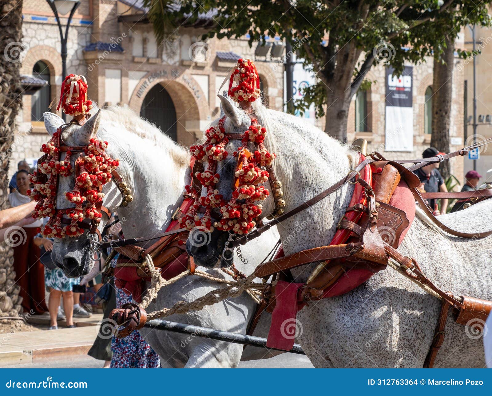 adornos en la cabeza de los caballos de carruaje