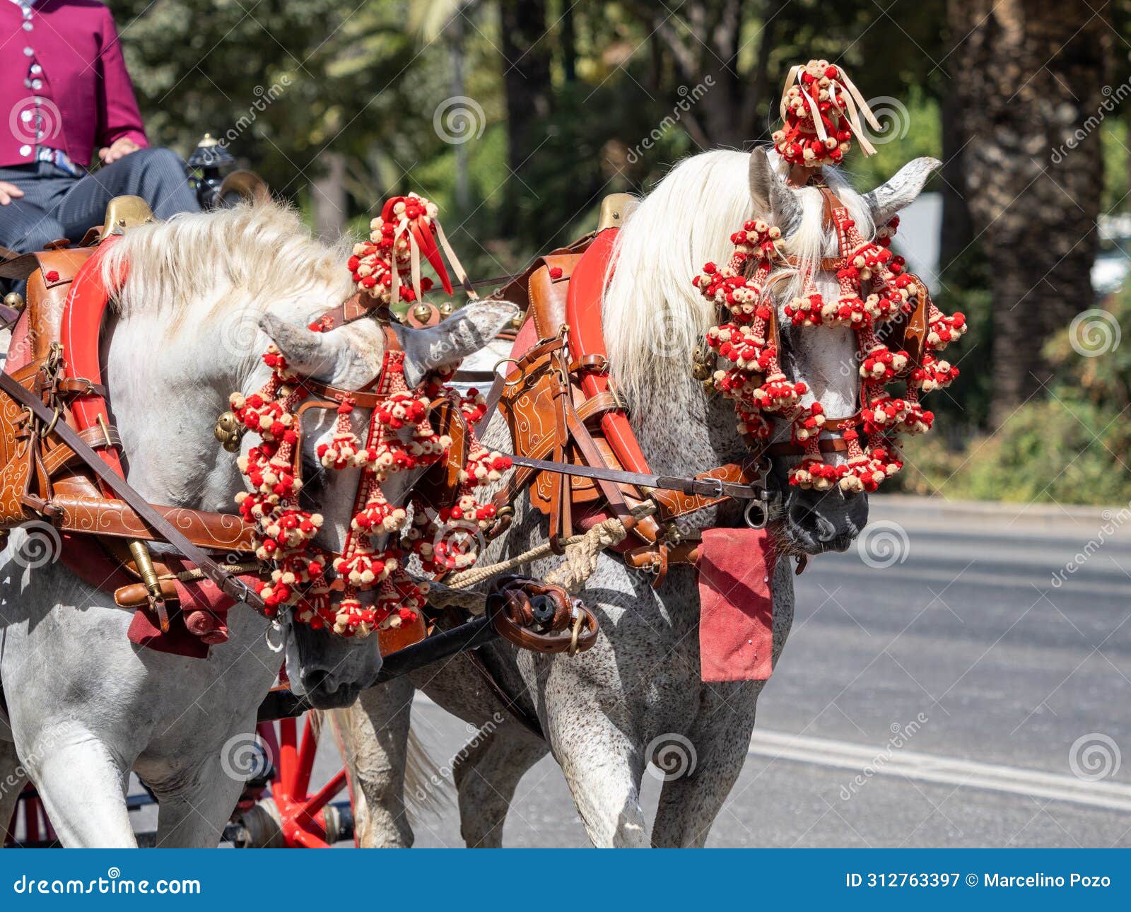 adornos en la cabeza de los caballos de carruaje