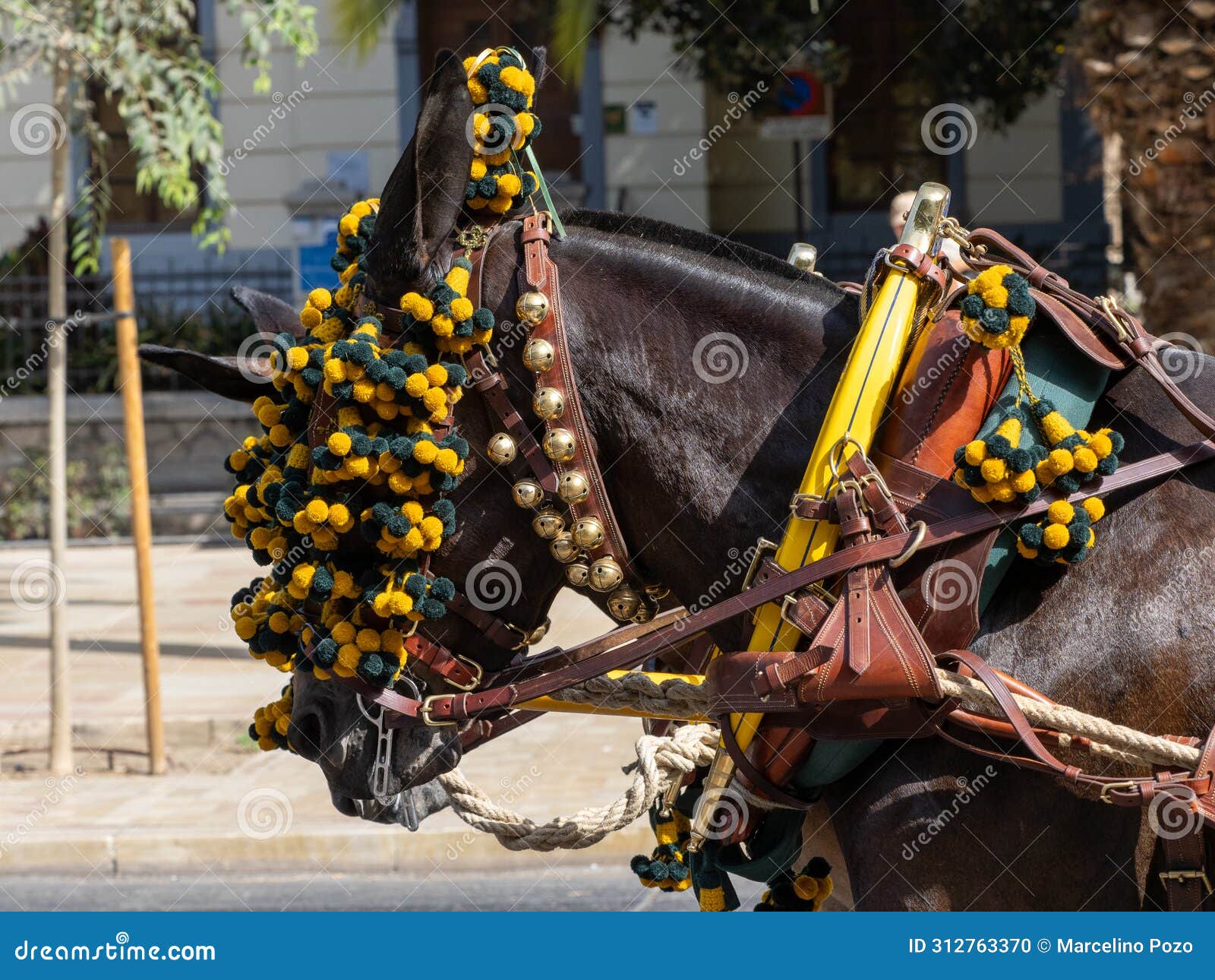 adornos en la cabeza de las mulas de carruaje