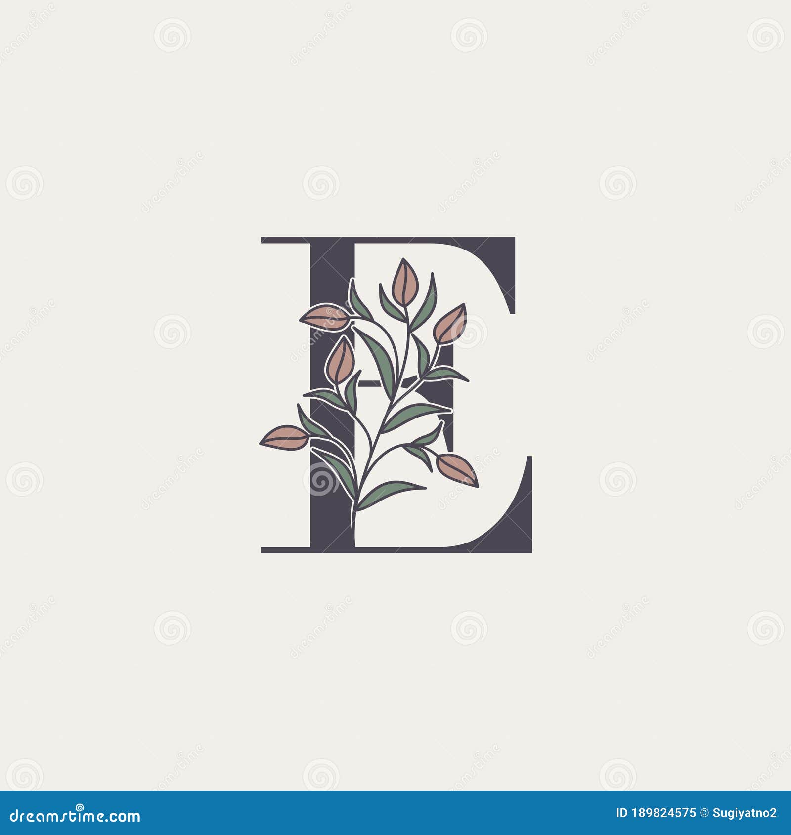 Fancy Letter E Stock Illustrations Fancy Letter E Stock Illustrations Vectors Clipart Dreamstime