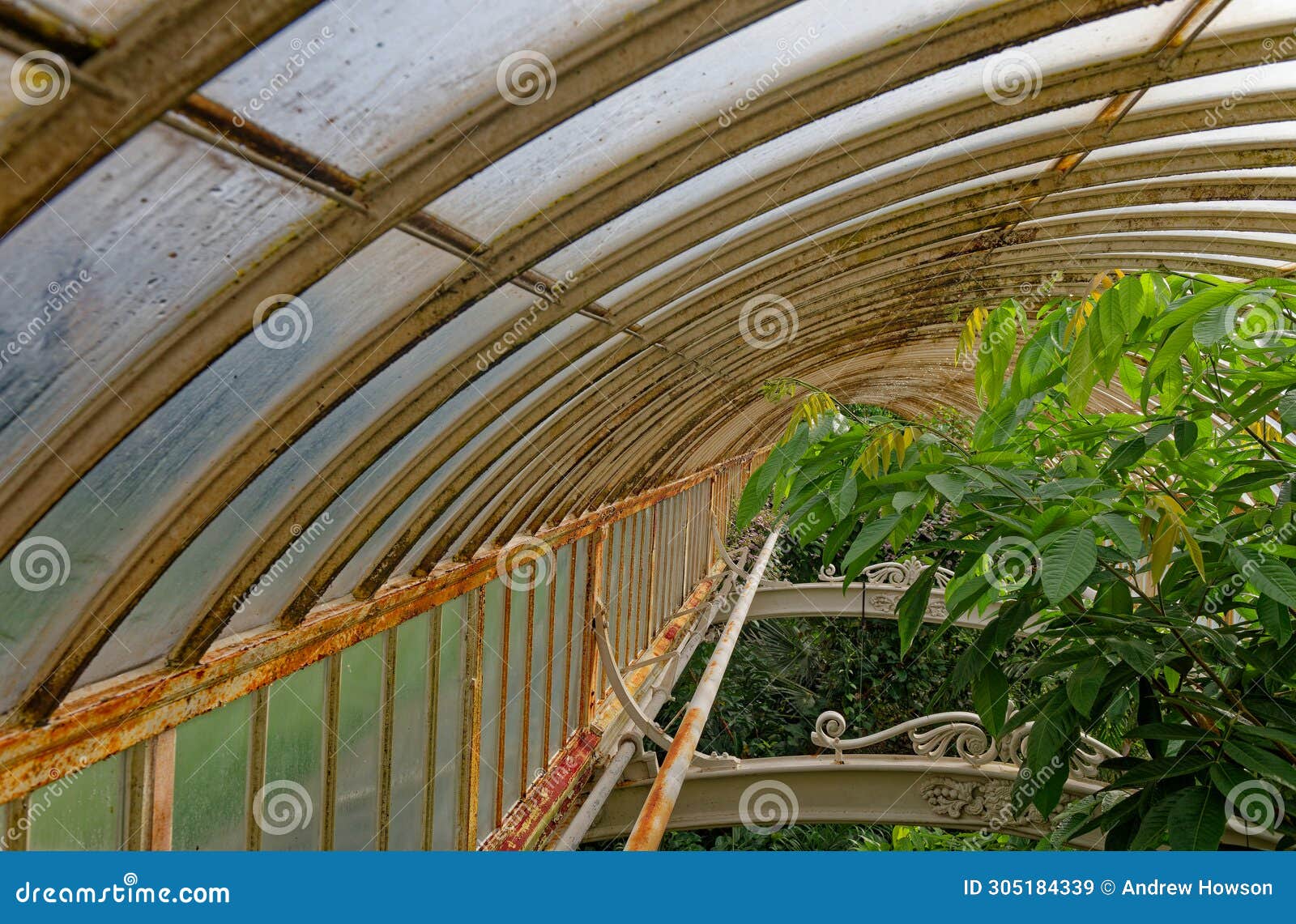 london, kew gardens: victorian green house