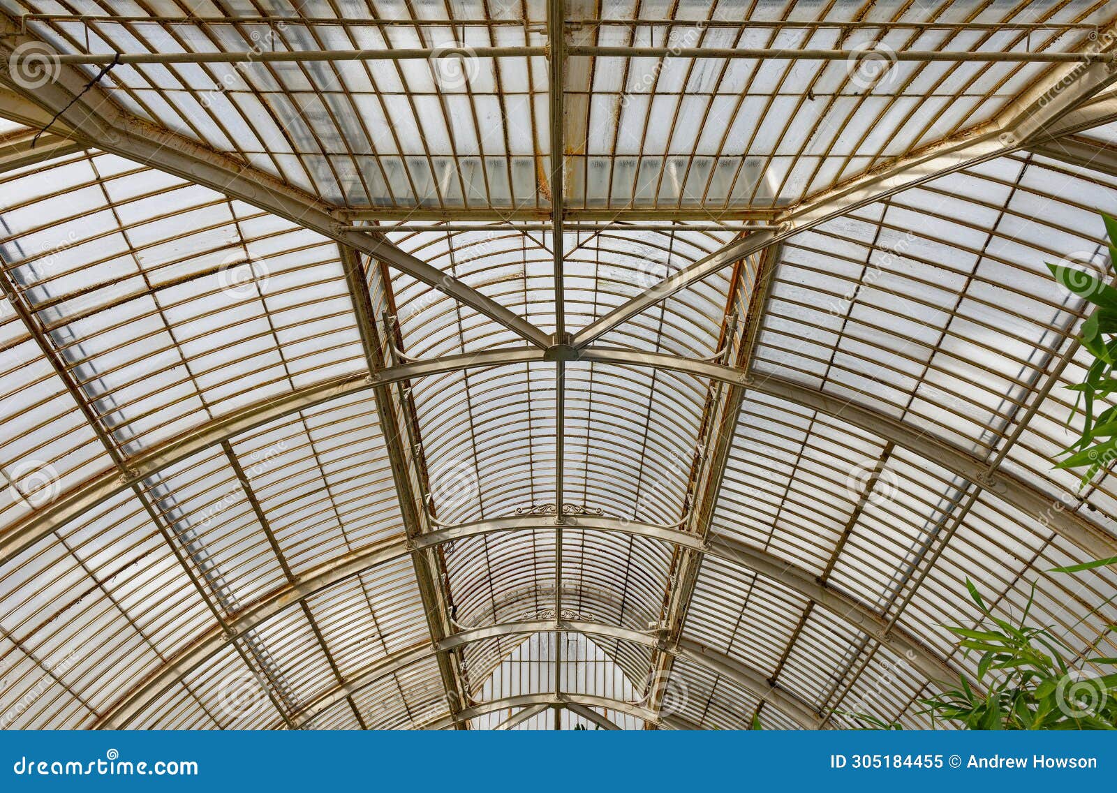 london, kew gardens: victorian green house